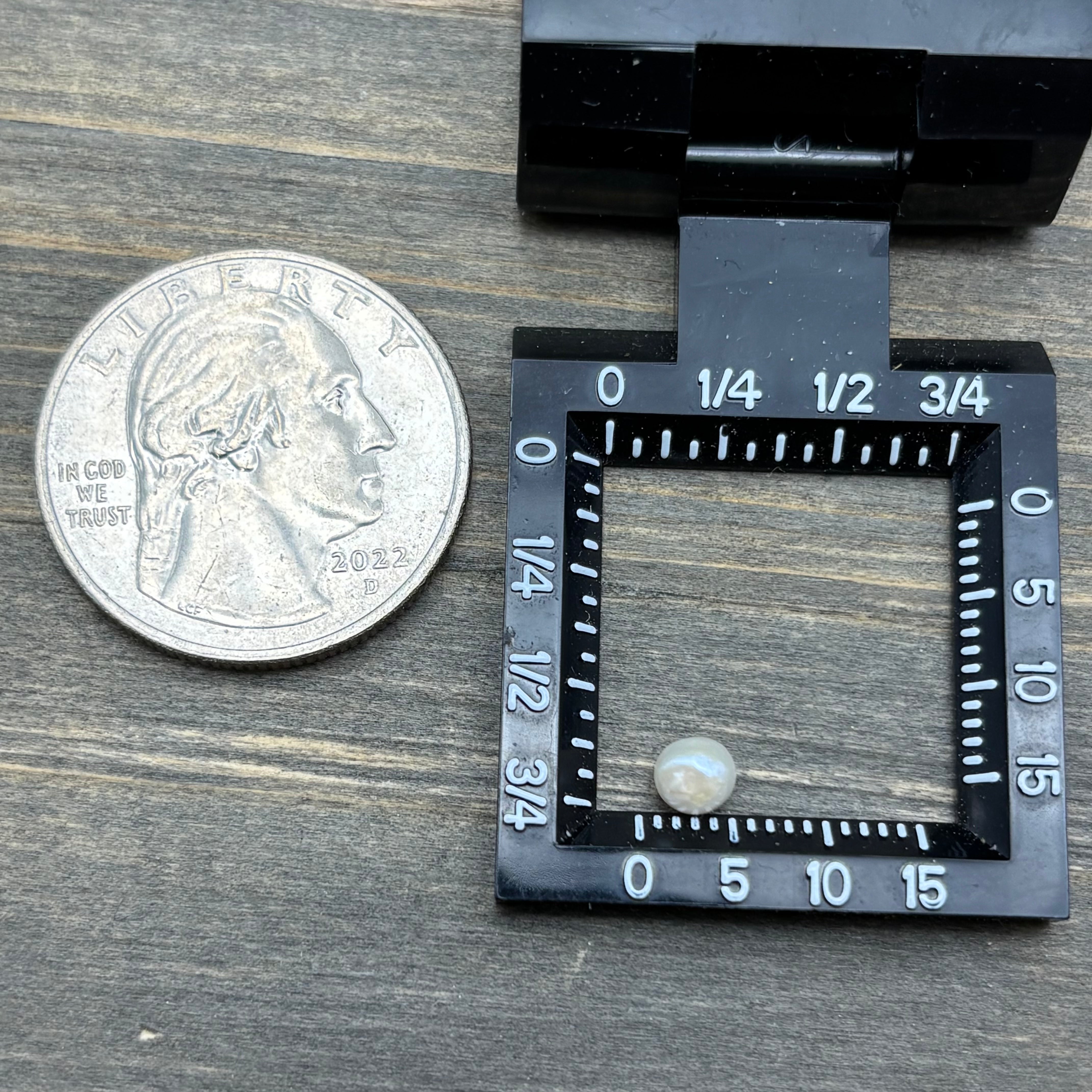 Wild Freshwater Pearl - 172