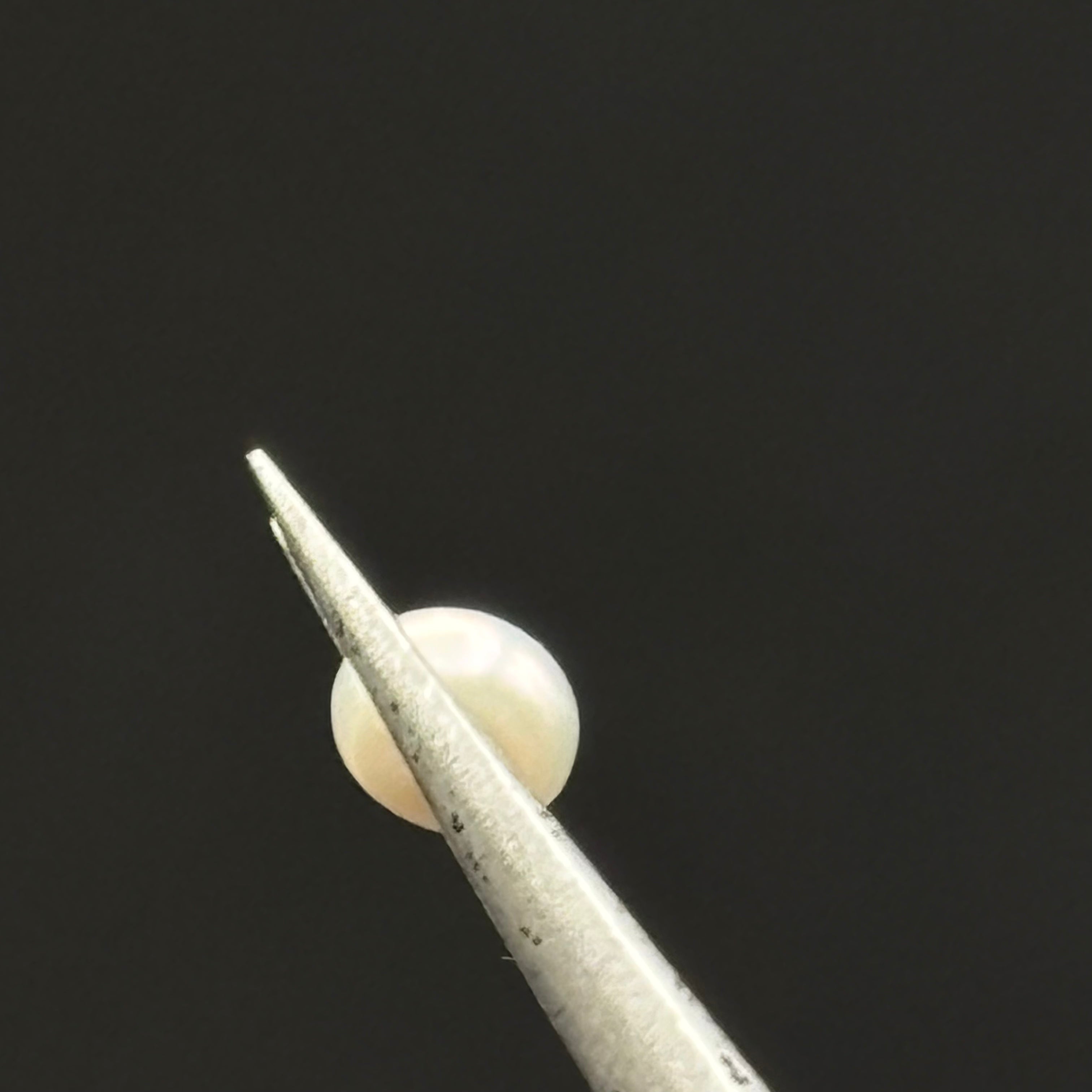 Wild Freshwater Pearl - 175