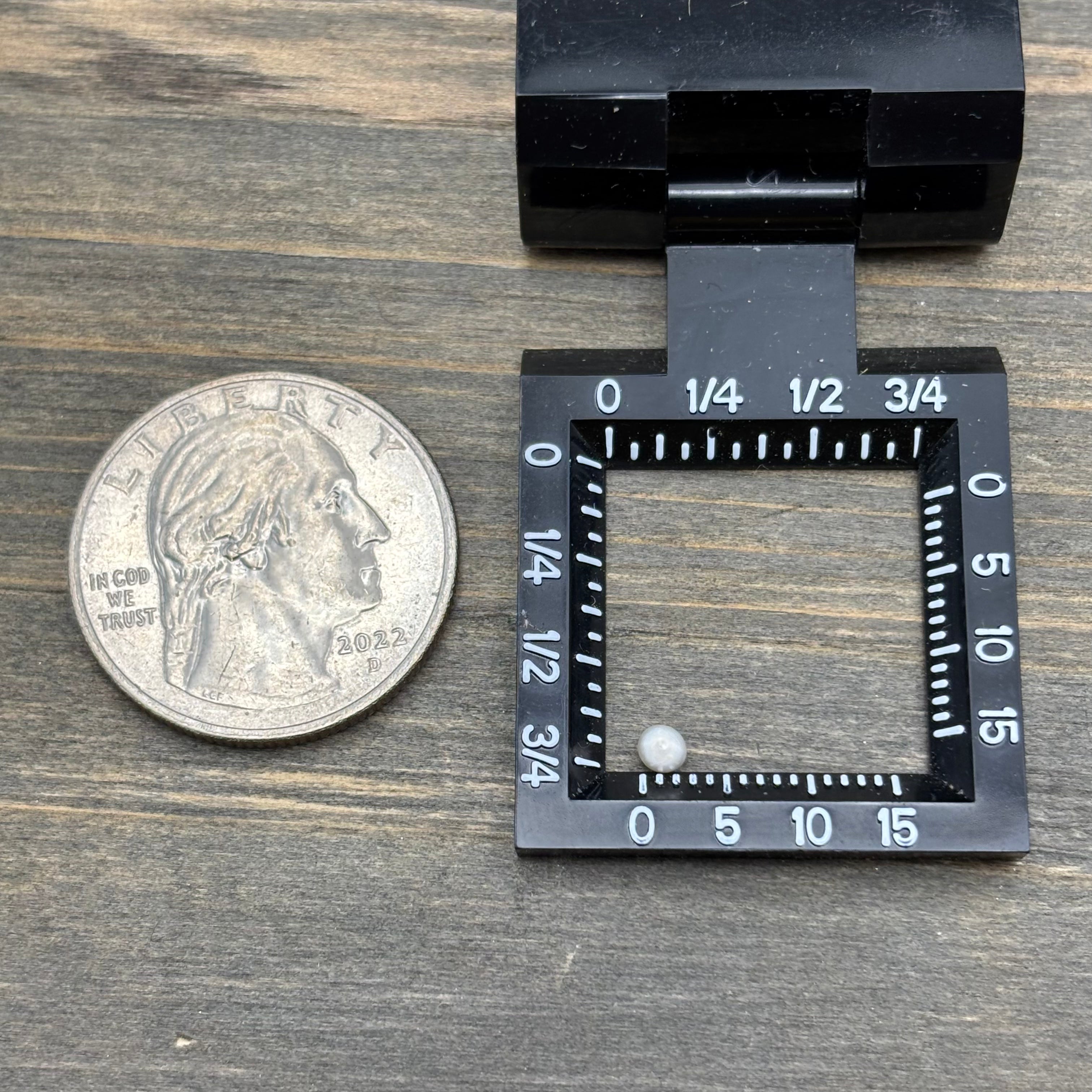 Wild Freshwater Pearl - 175