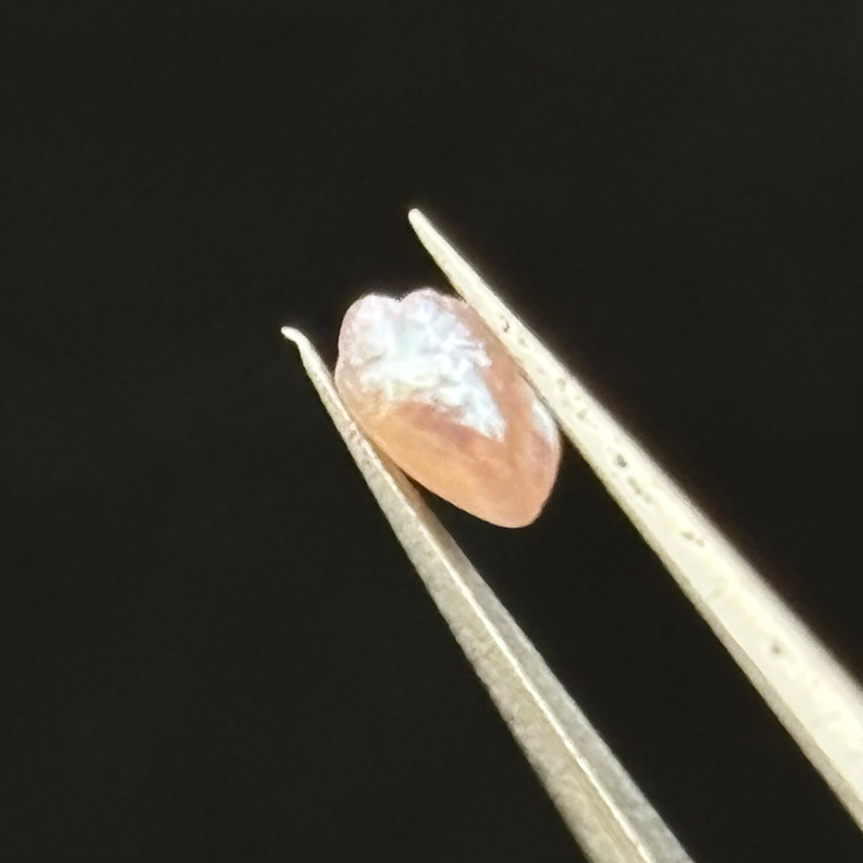 Wild Freshwater Pearl - 176