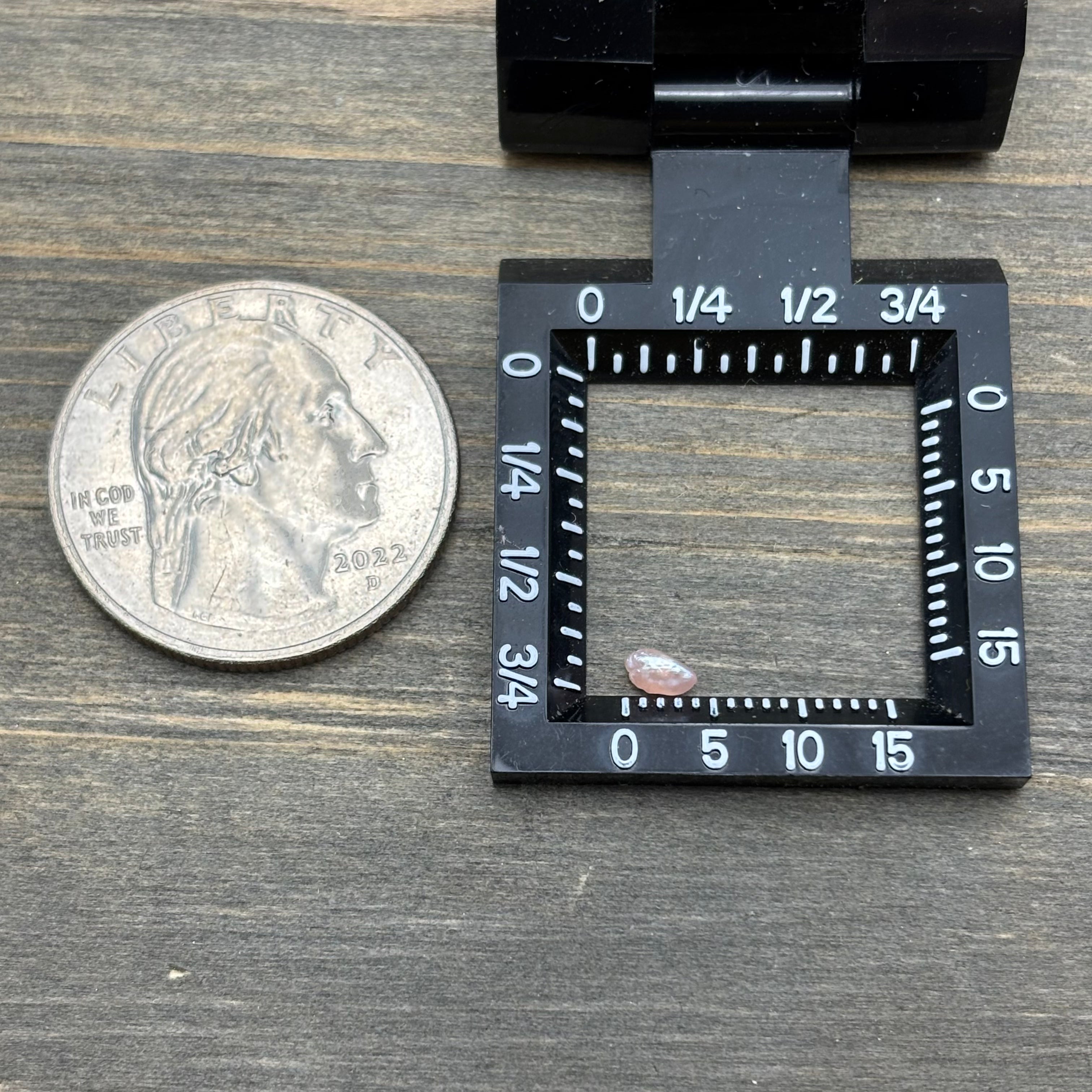 Wild Freshwater Pearl - 176