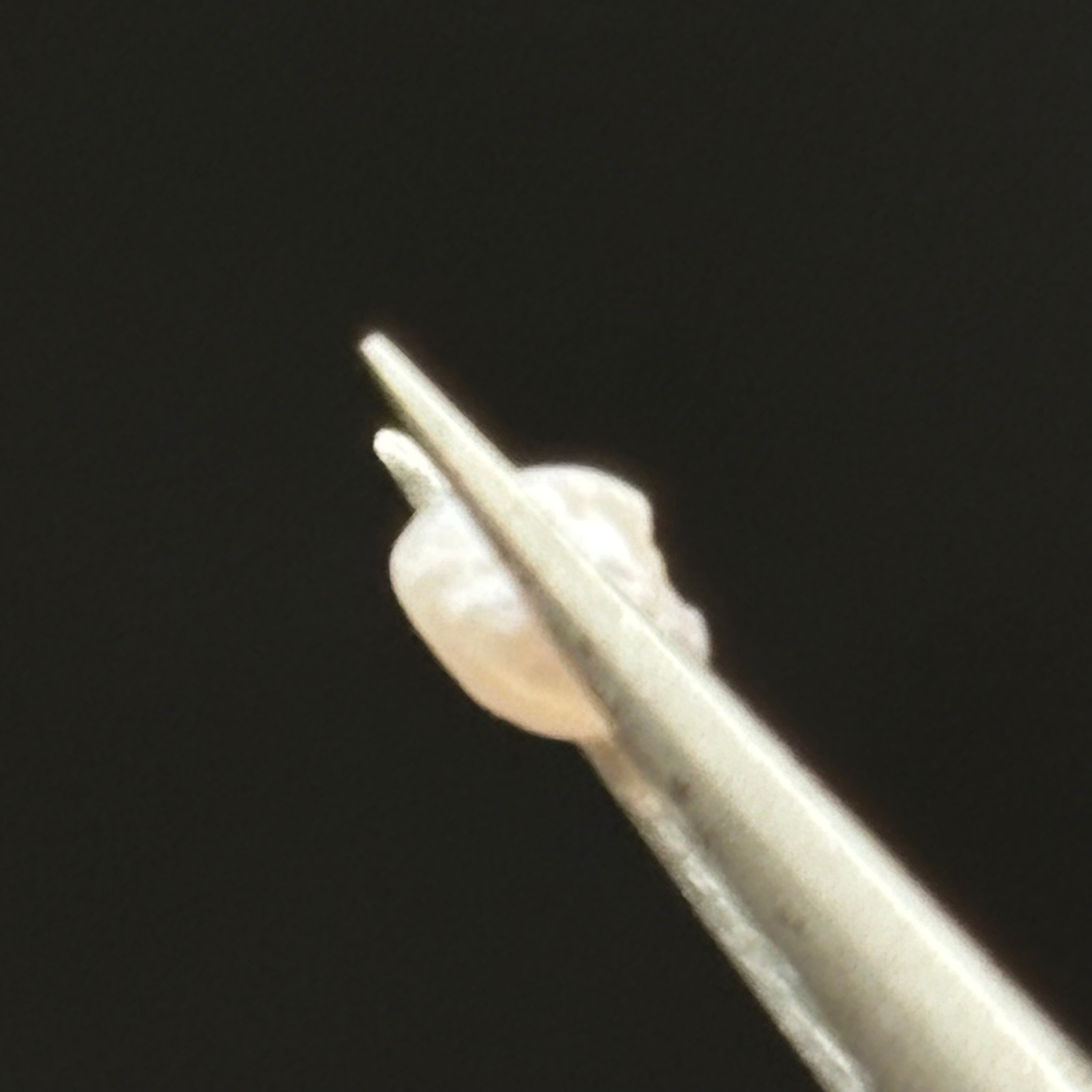 Wild Freshwater Pearl - 177