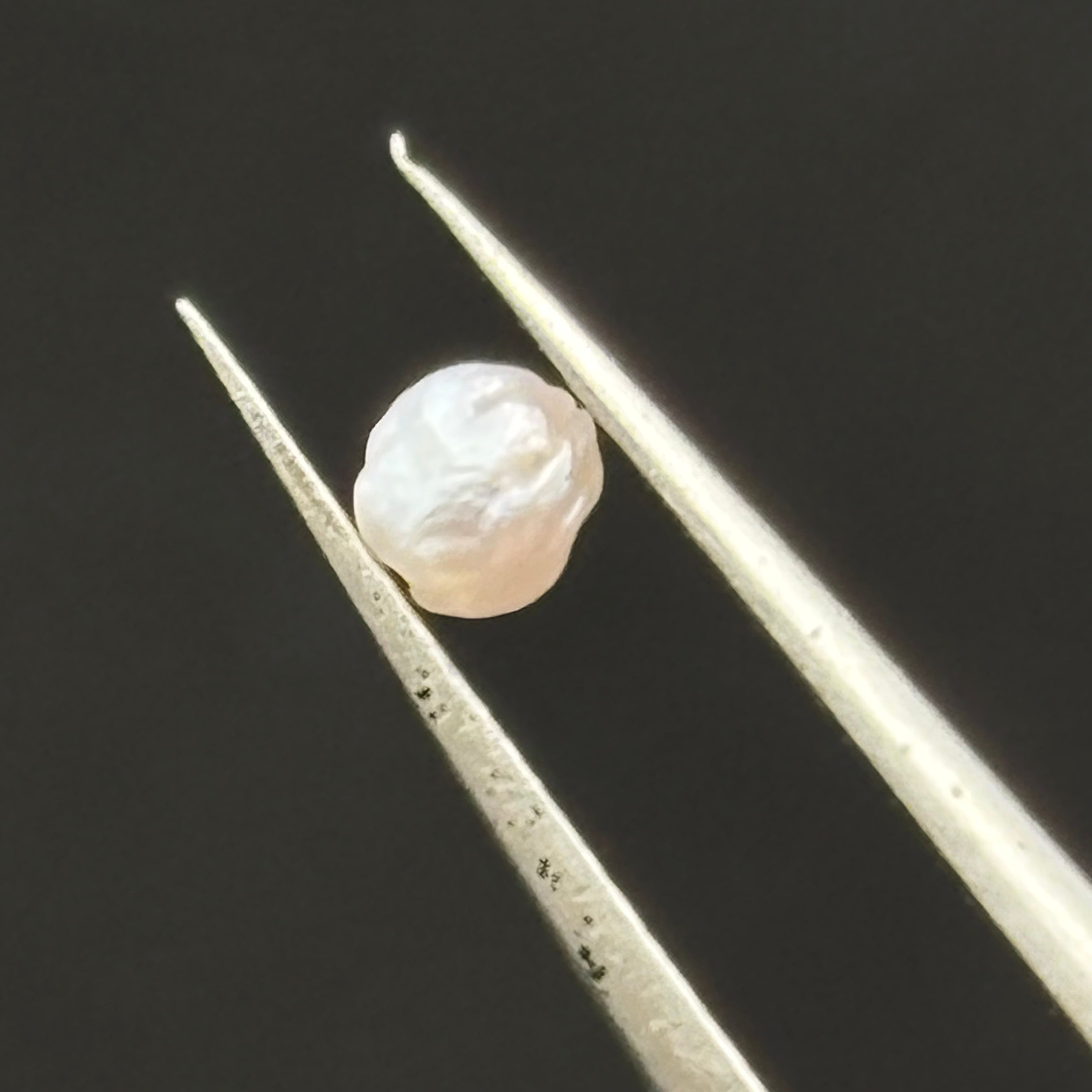 Wild Freshwater Pearl - 177
