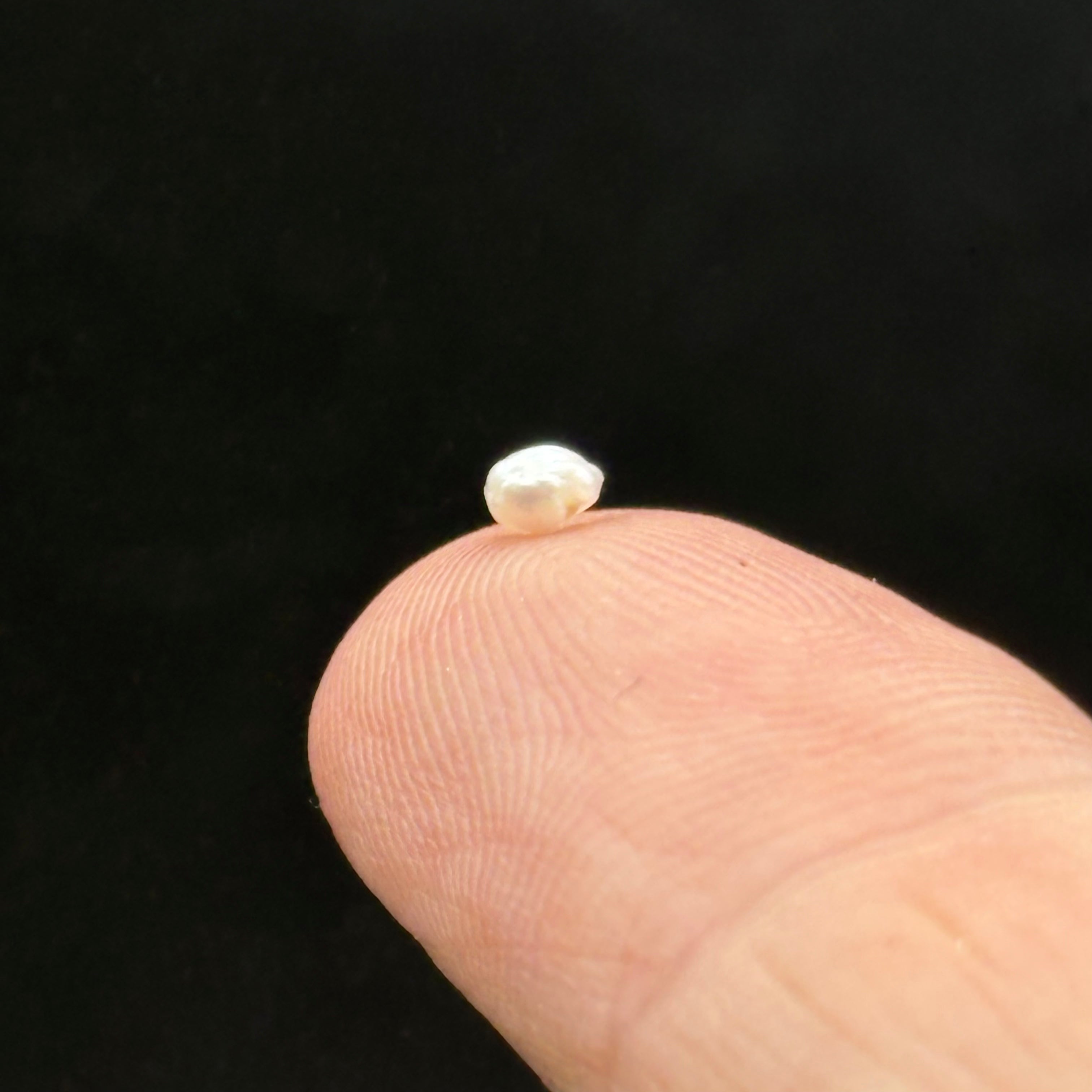 Wild Freshwater Pearl - 177