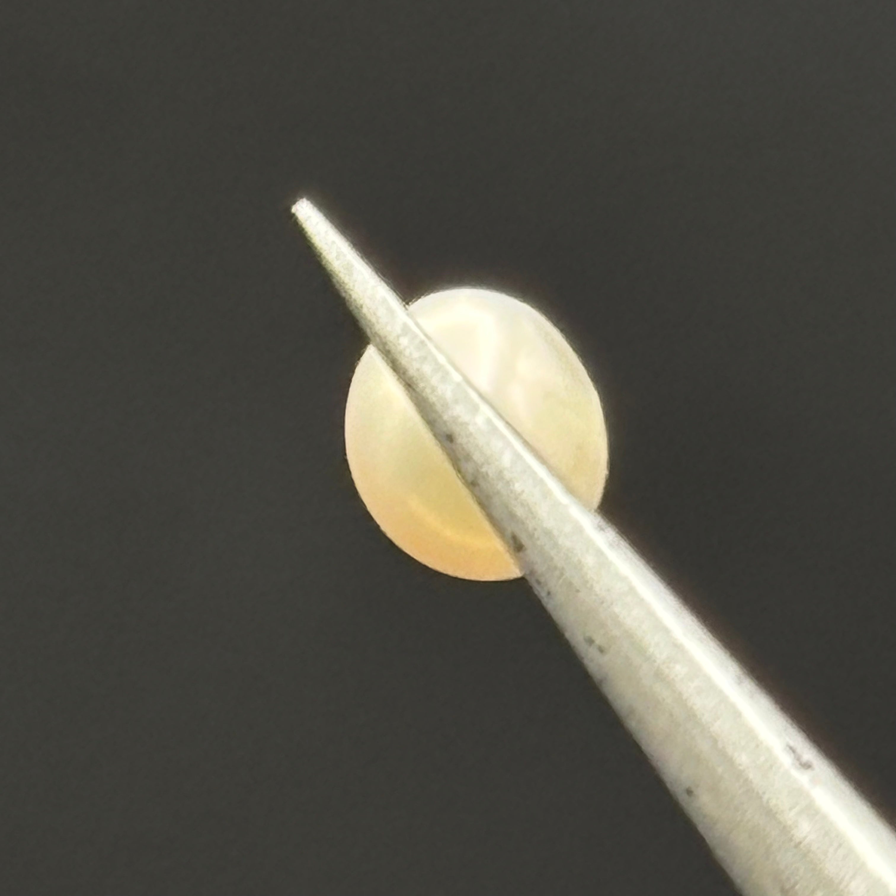 Wild Freshwater Pearl - 178