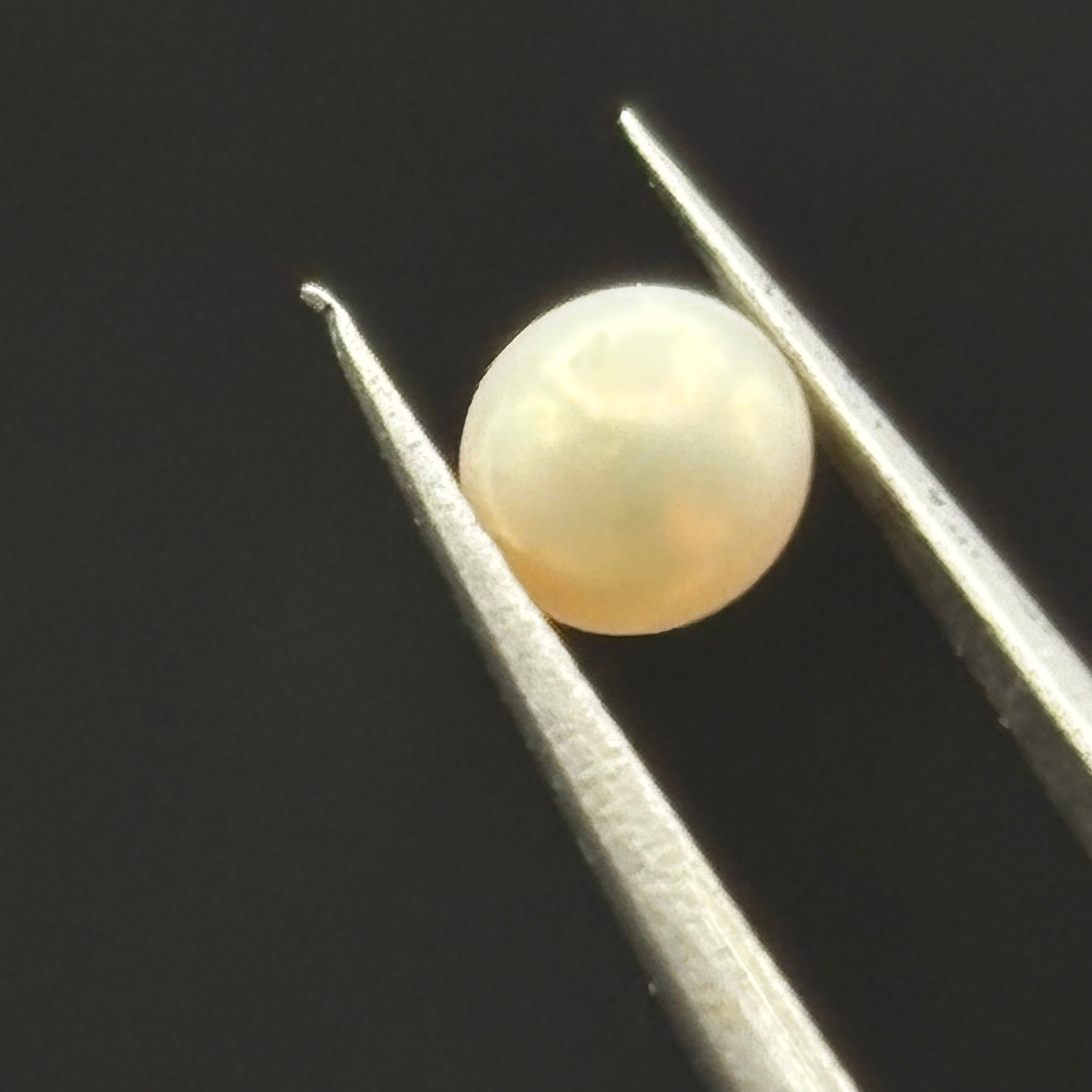 Wild Freshwater Pearl - 178