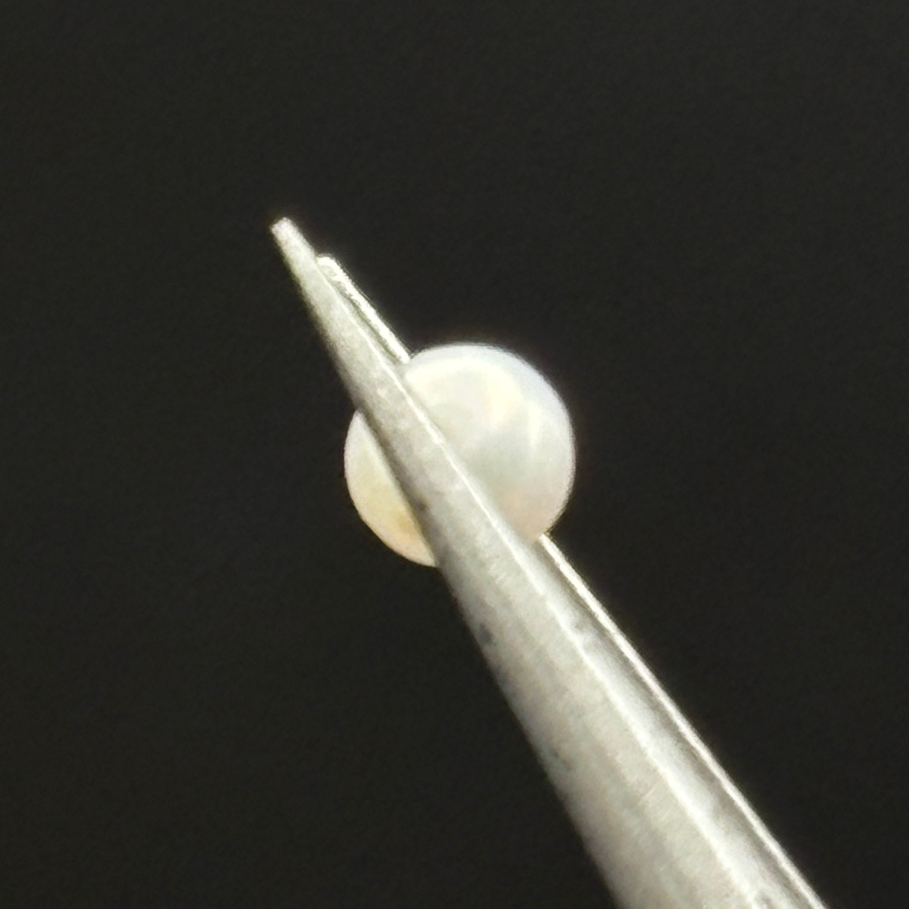 Wild Freshwater Pearl - 181