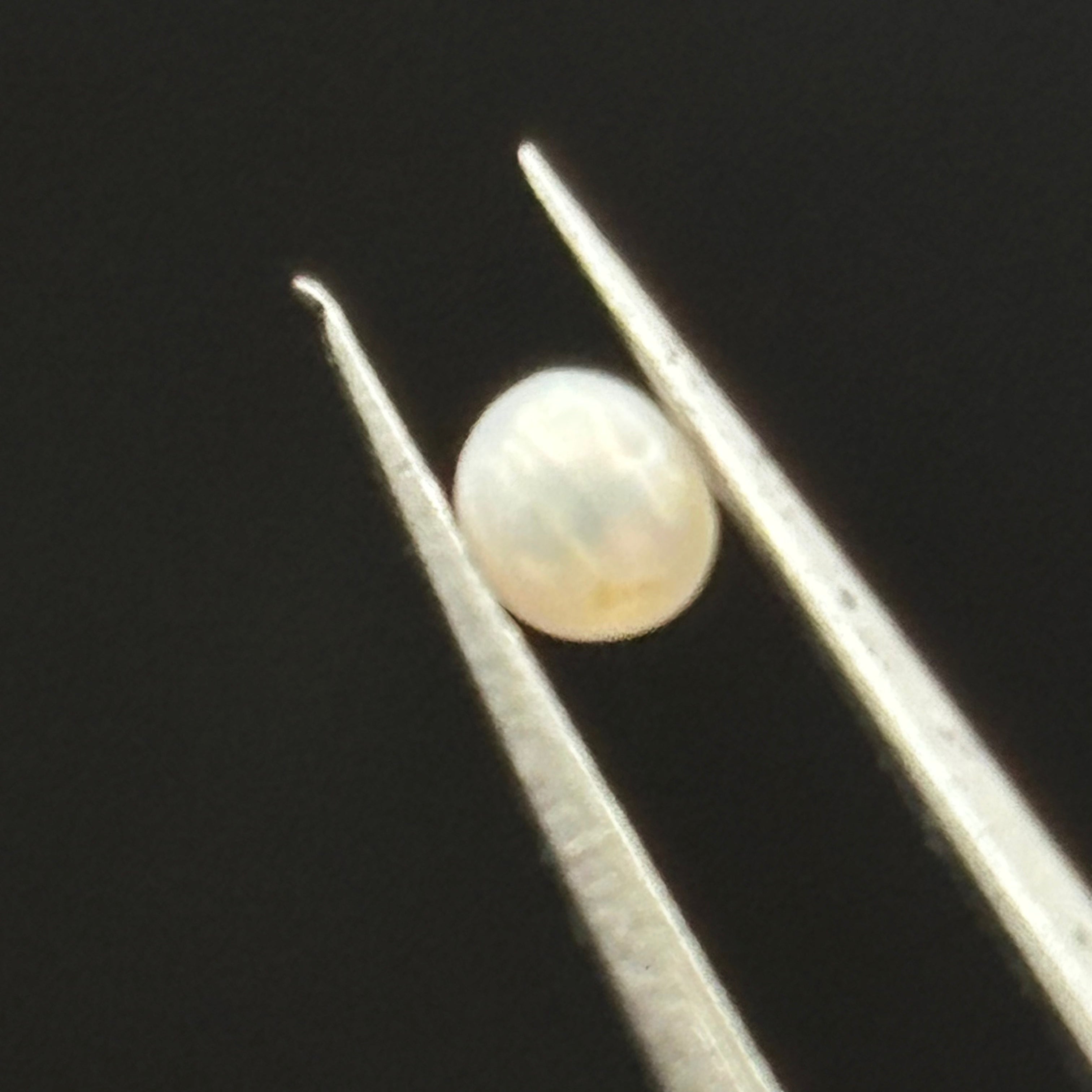 Wild Freshwater Pearl - 181