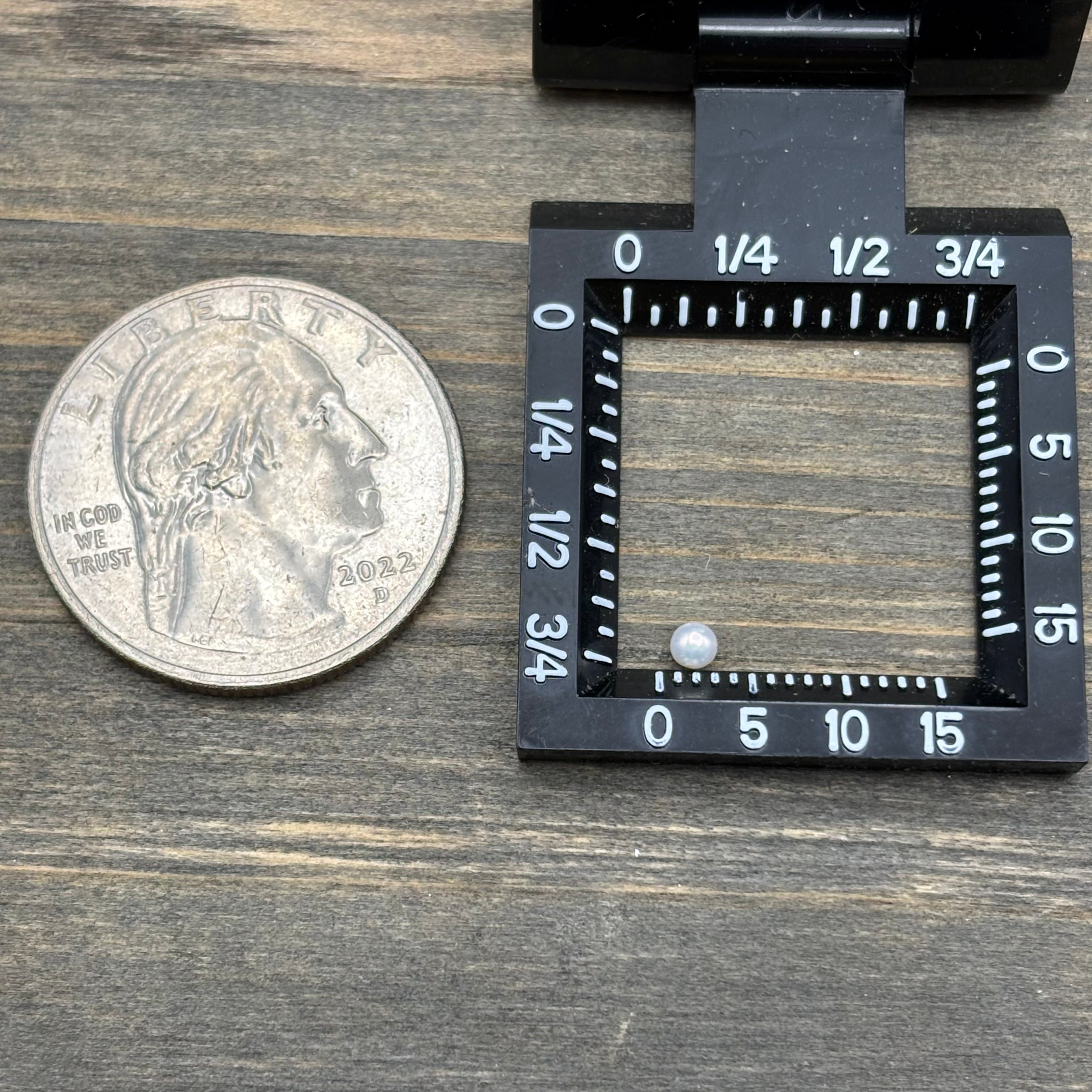 Wild Freshwater Pearl - 181