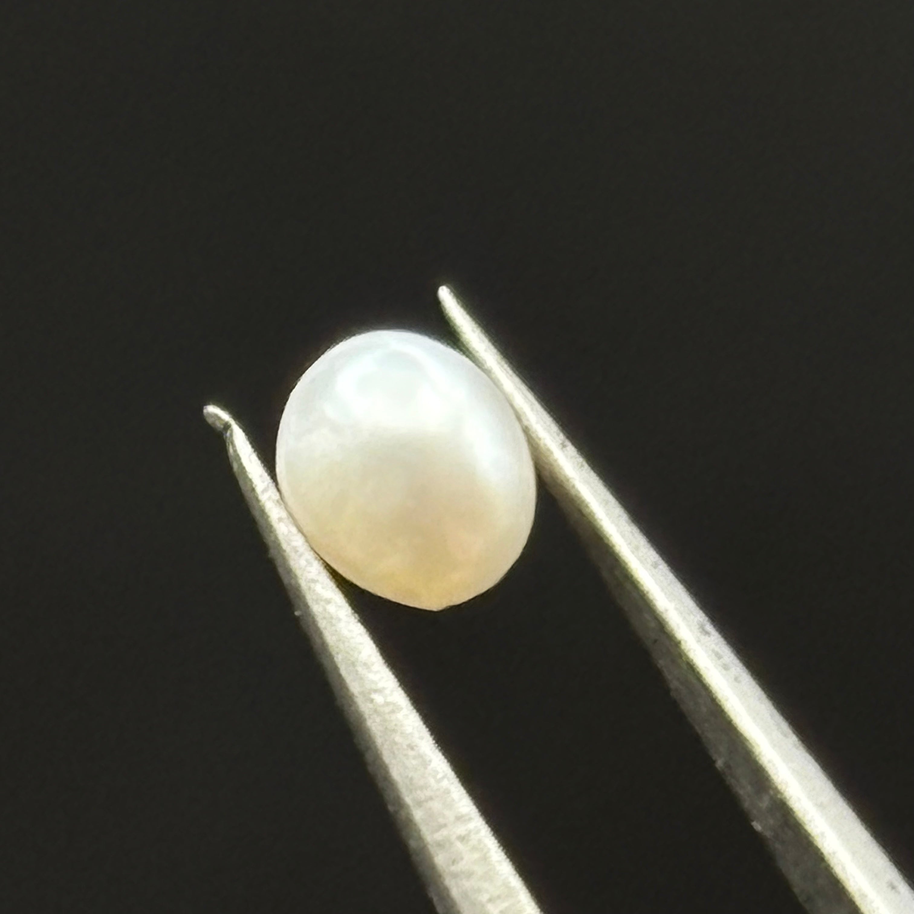Wild Freshwater Pearl - 183