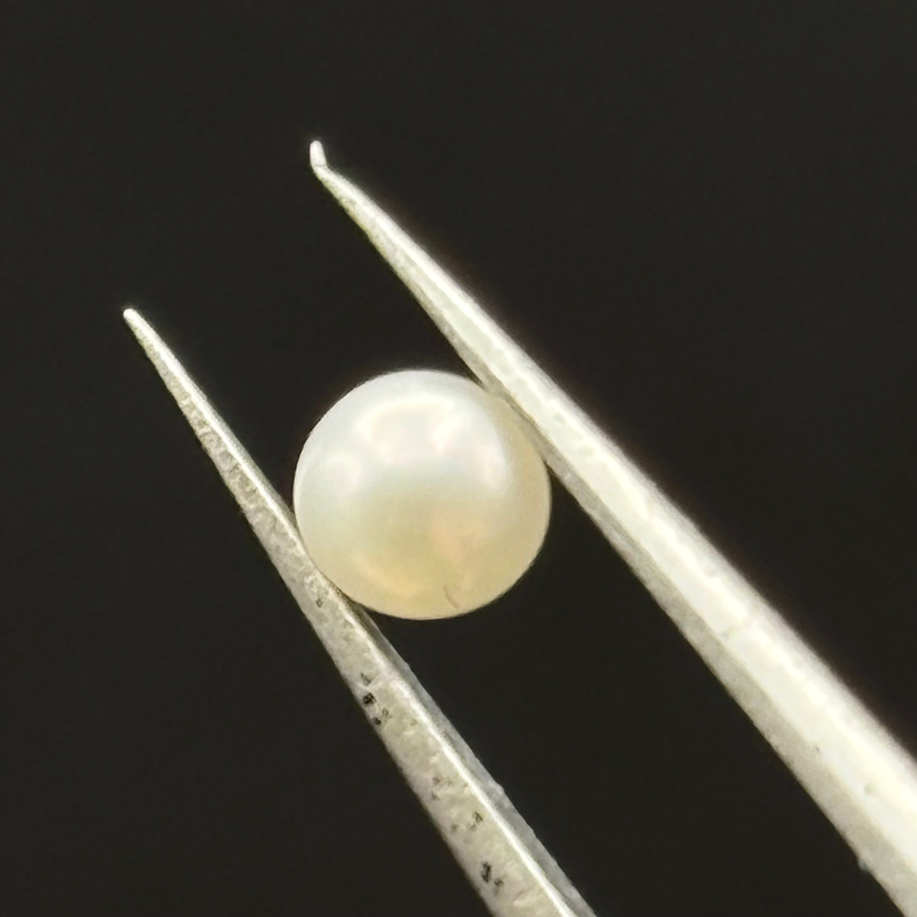 Wild Freshwater Pearl - 184