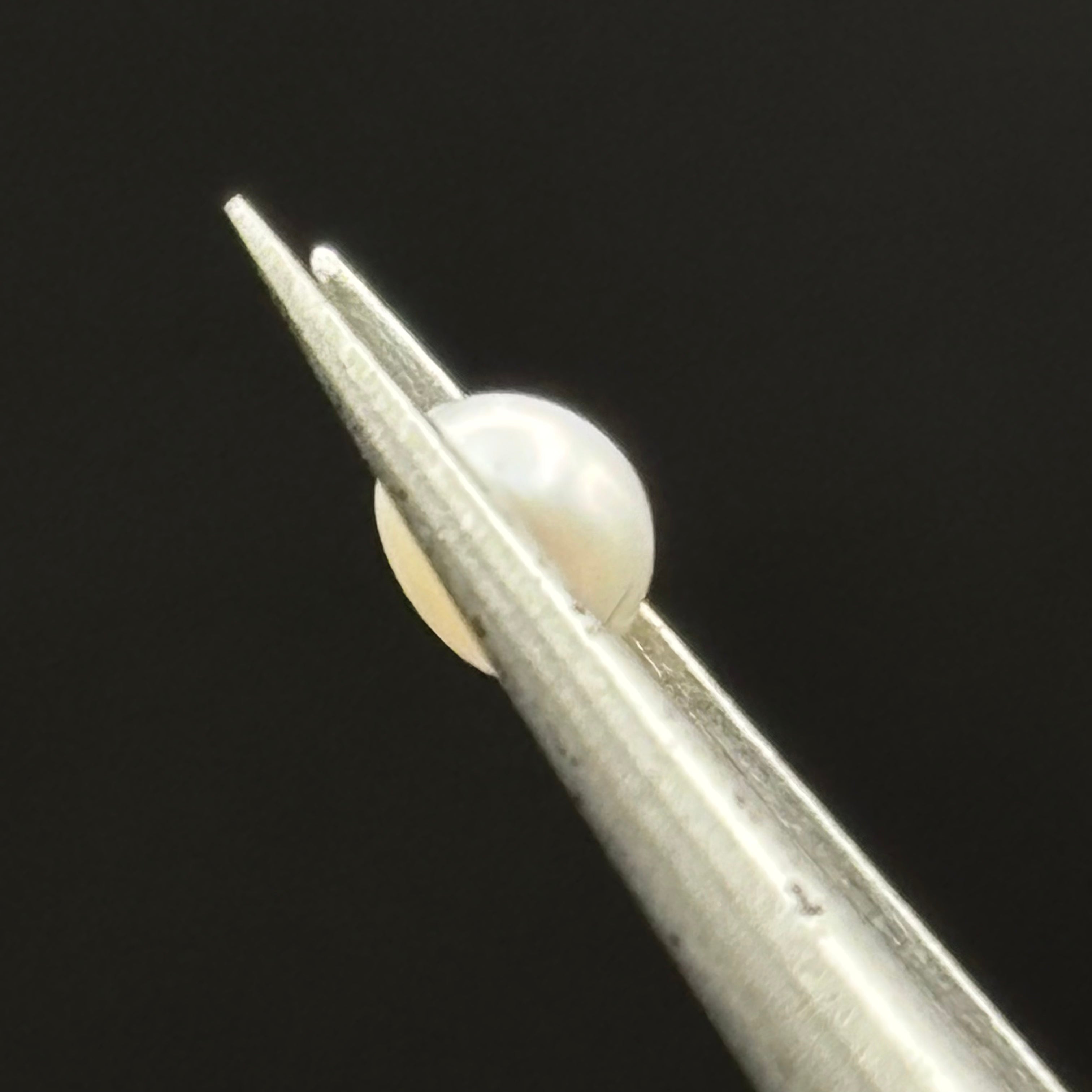 Wild Freshwater Pearl - 184