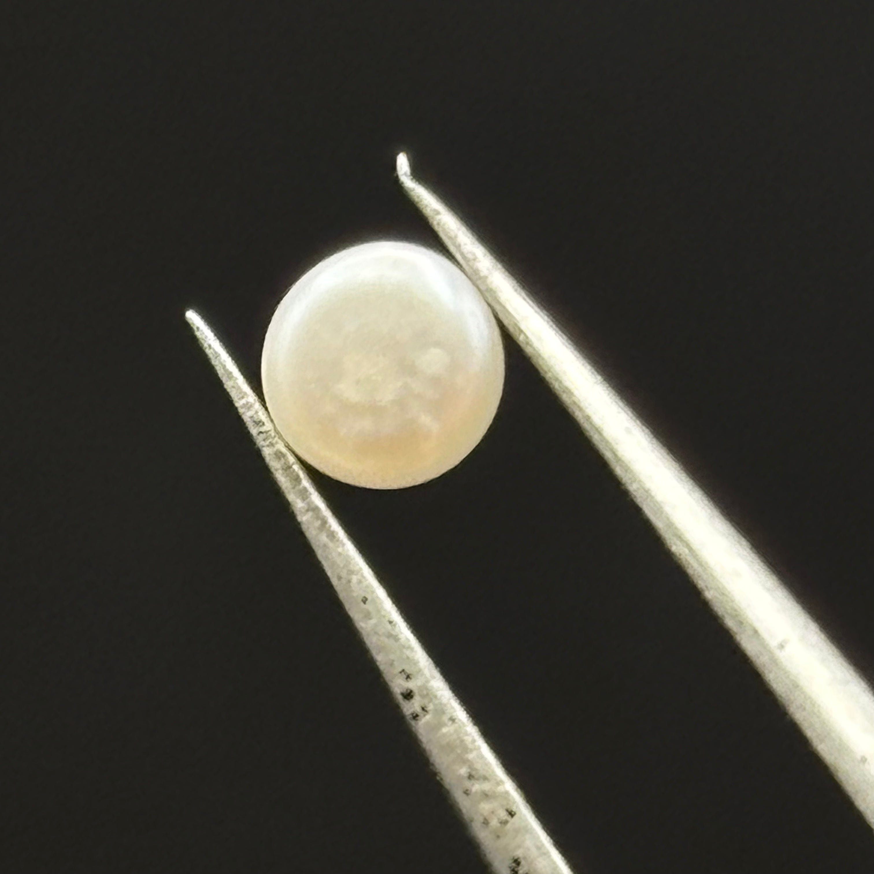 Wild Freshwater Pearl - 184