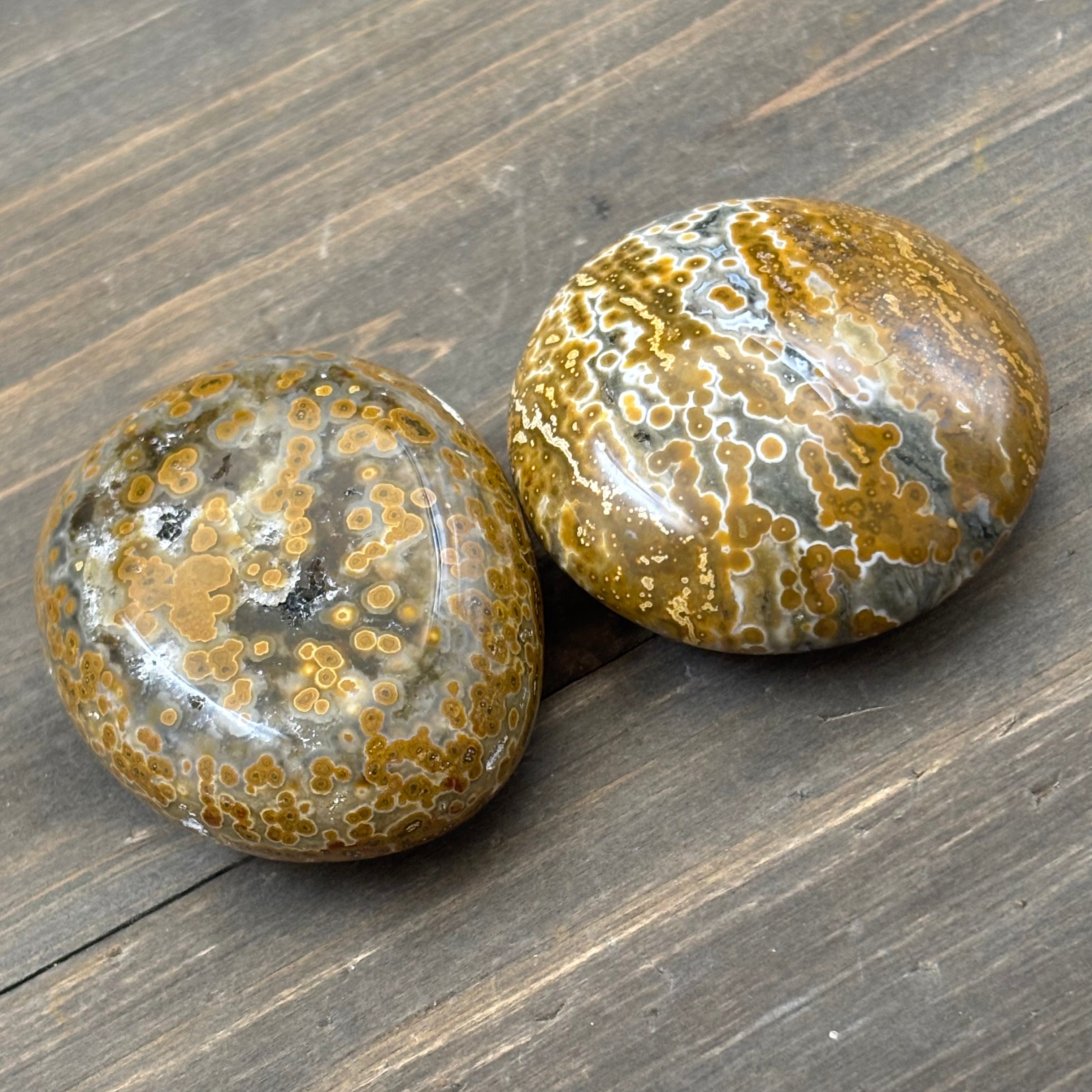 Ocean Jasper 5-Element Palm Pairs