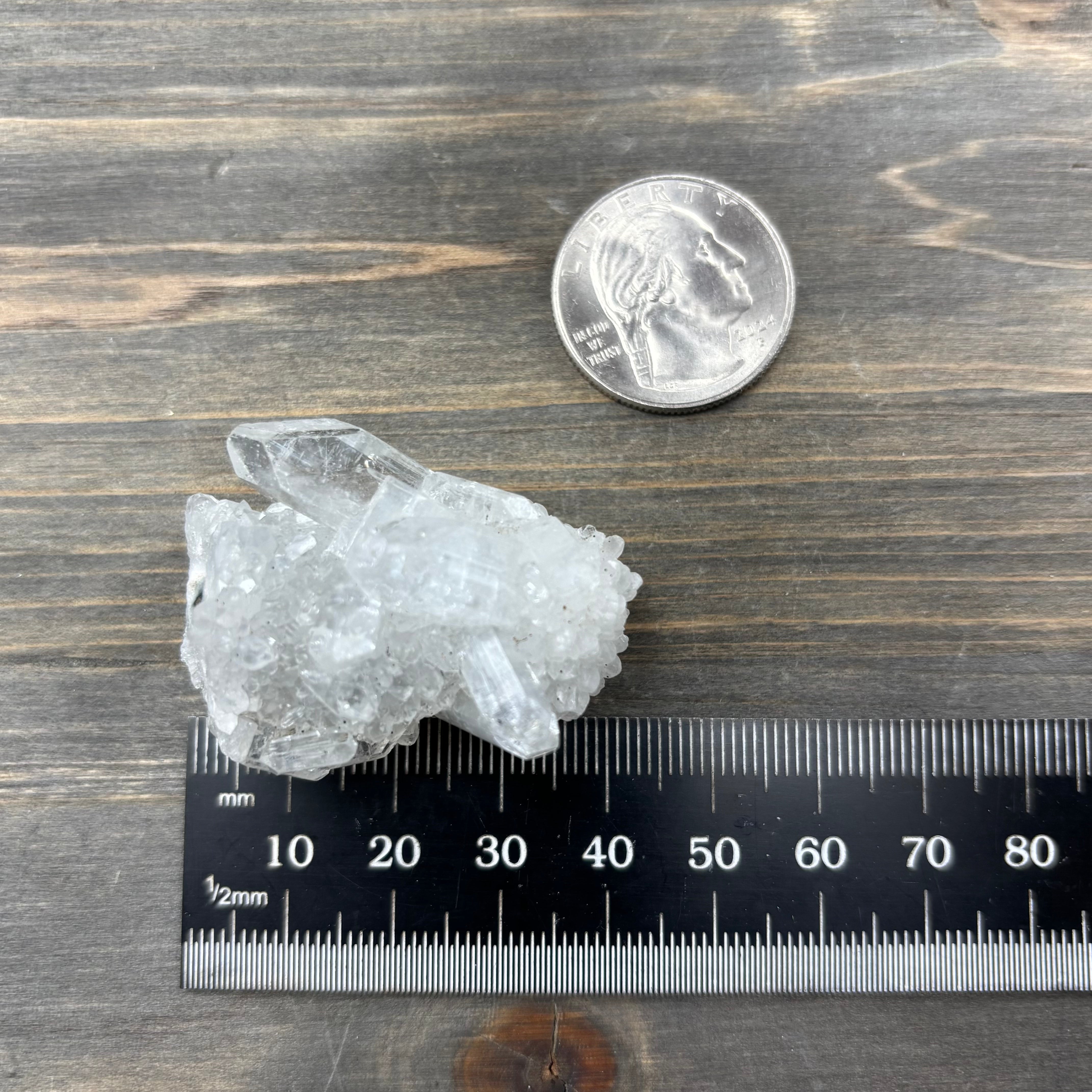 Apophyllite Crystal - 555