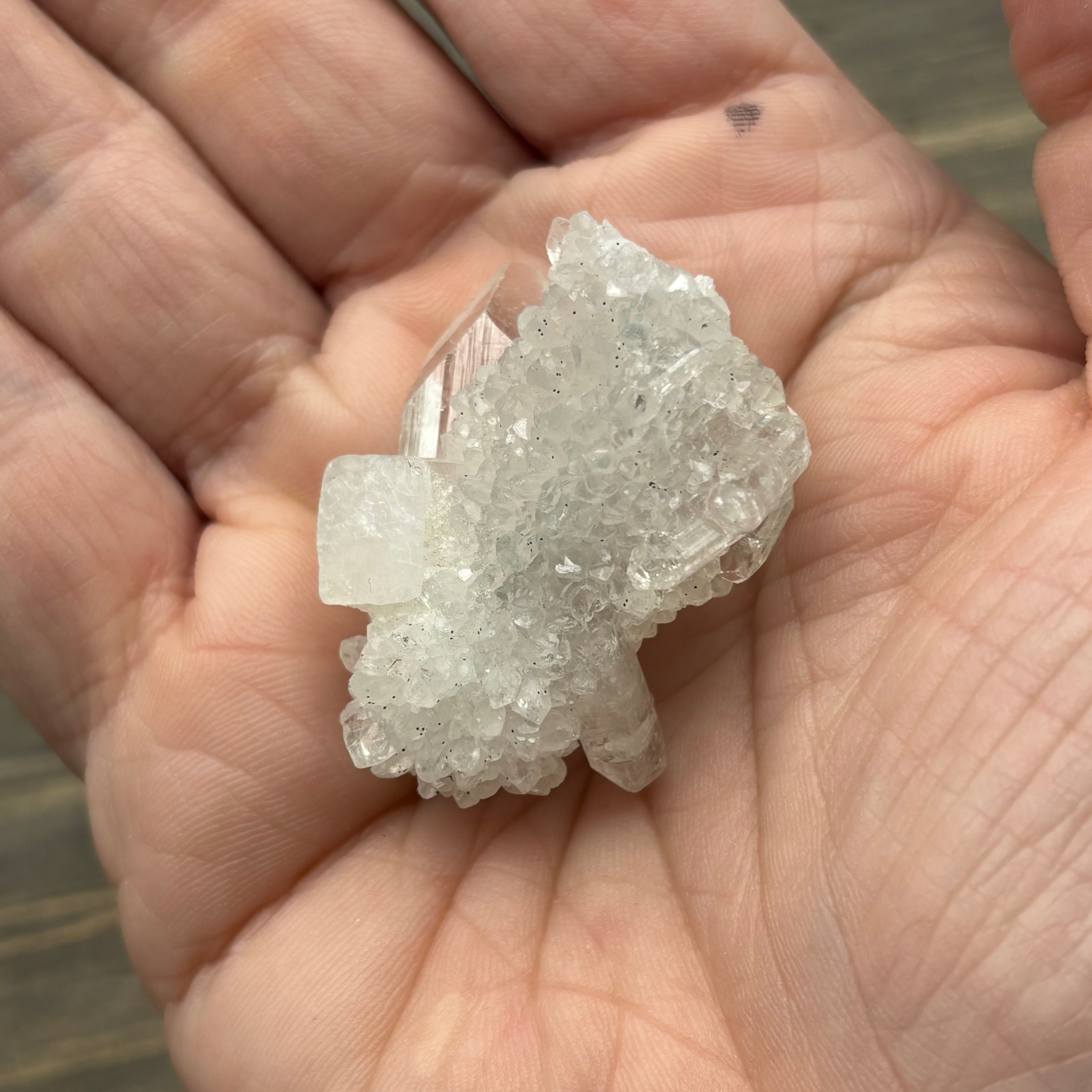 Apophyllite Crystal - 555