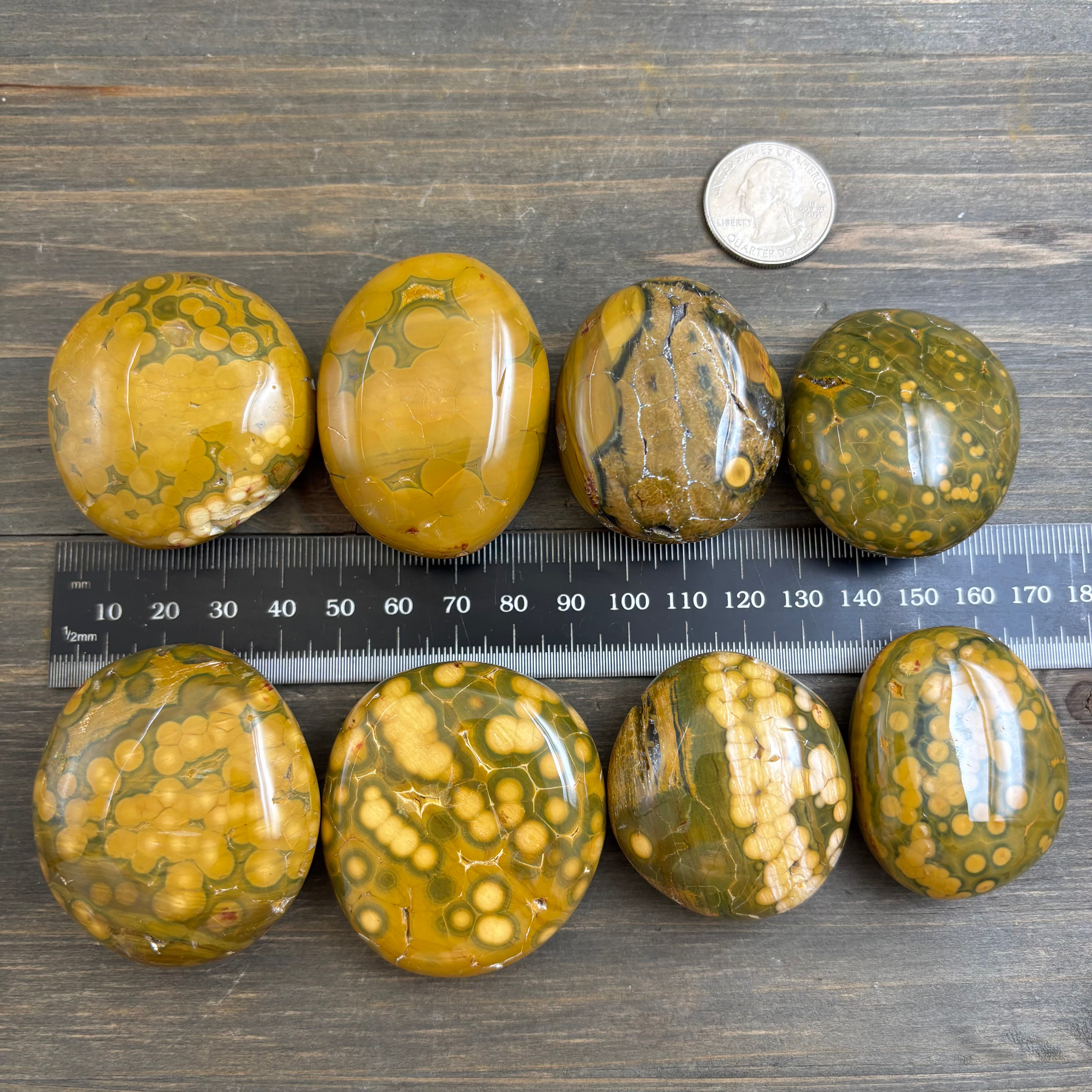 Dark Green and Golden Yellow Kabamby Ocean Jasper Palm Pair