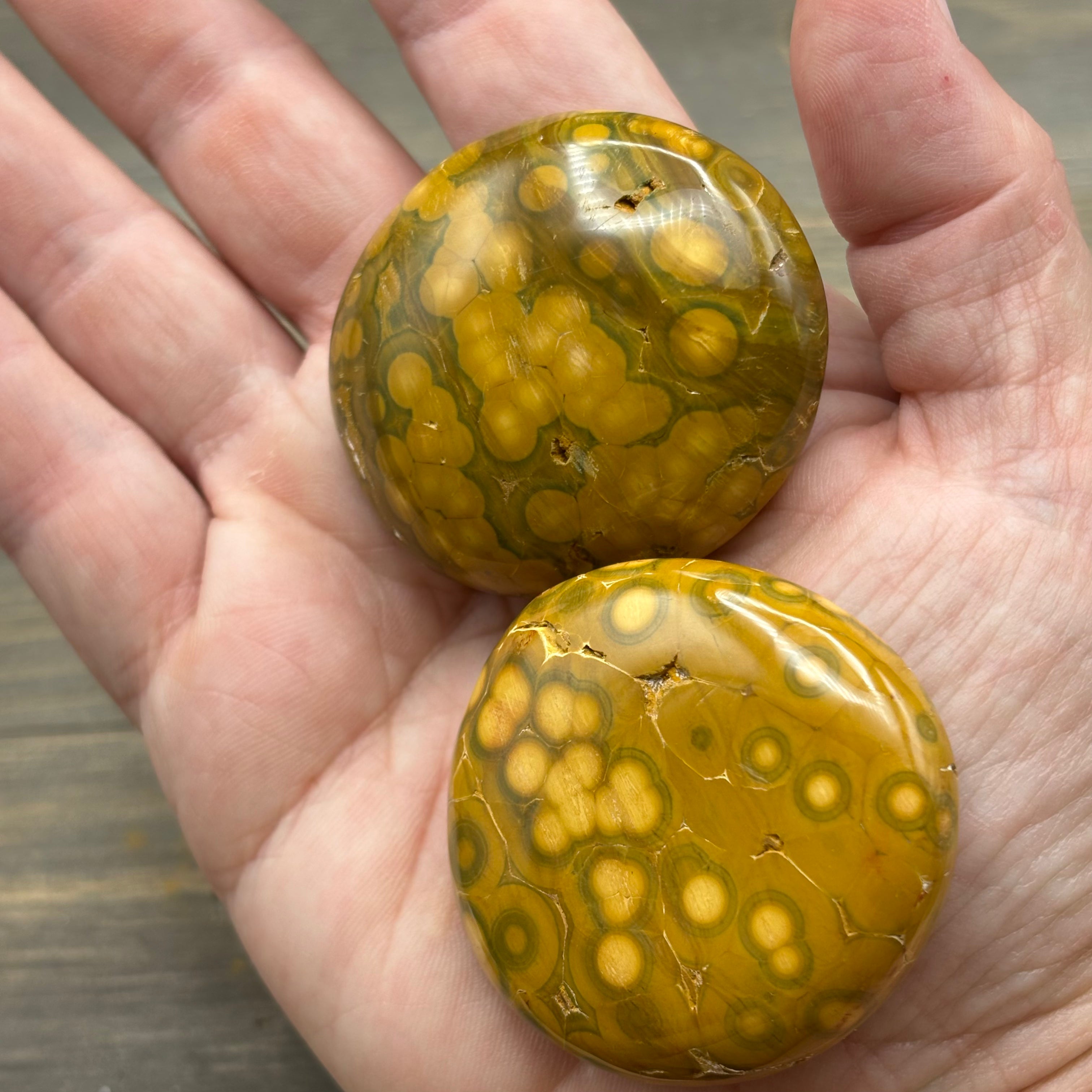 Dark Green and Golden Yellow Kabamby Ocean Jasper Palm Pair