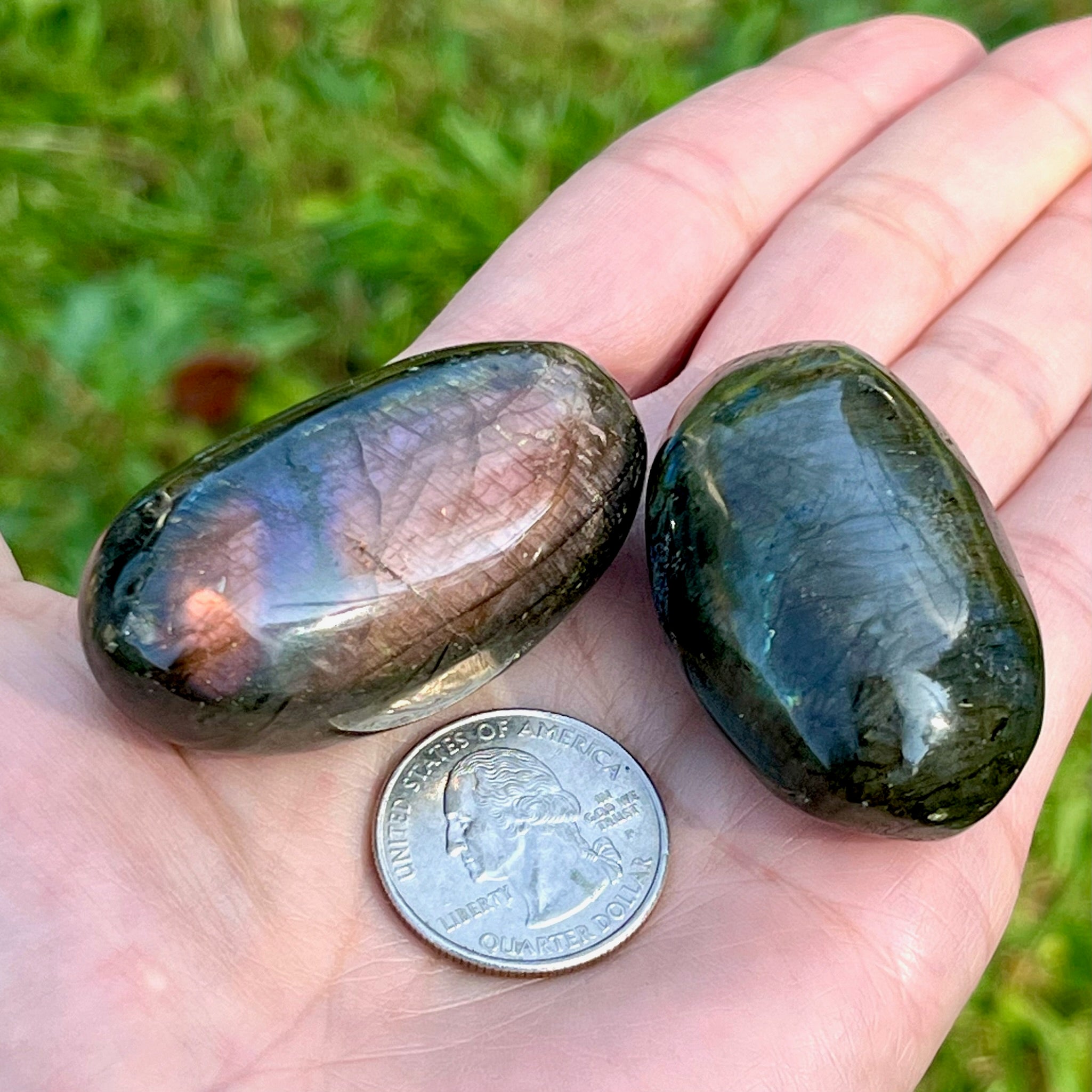 Spectrolite Palm Stone Pair