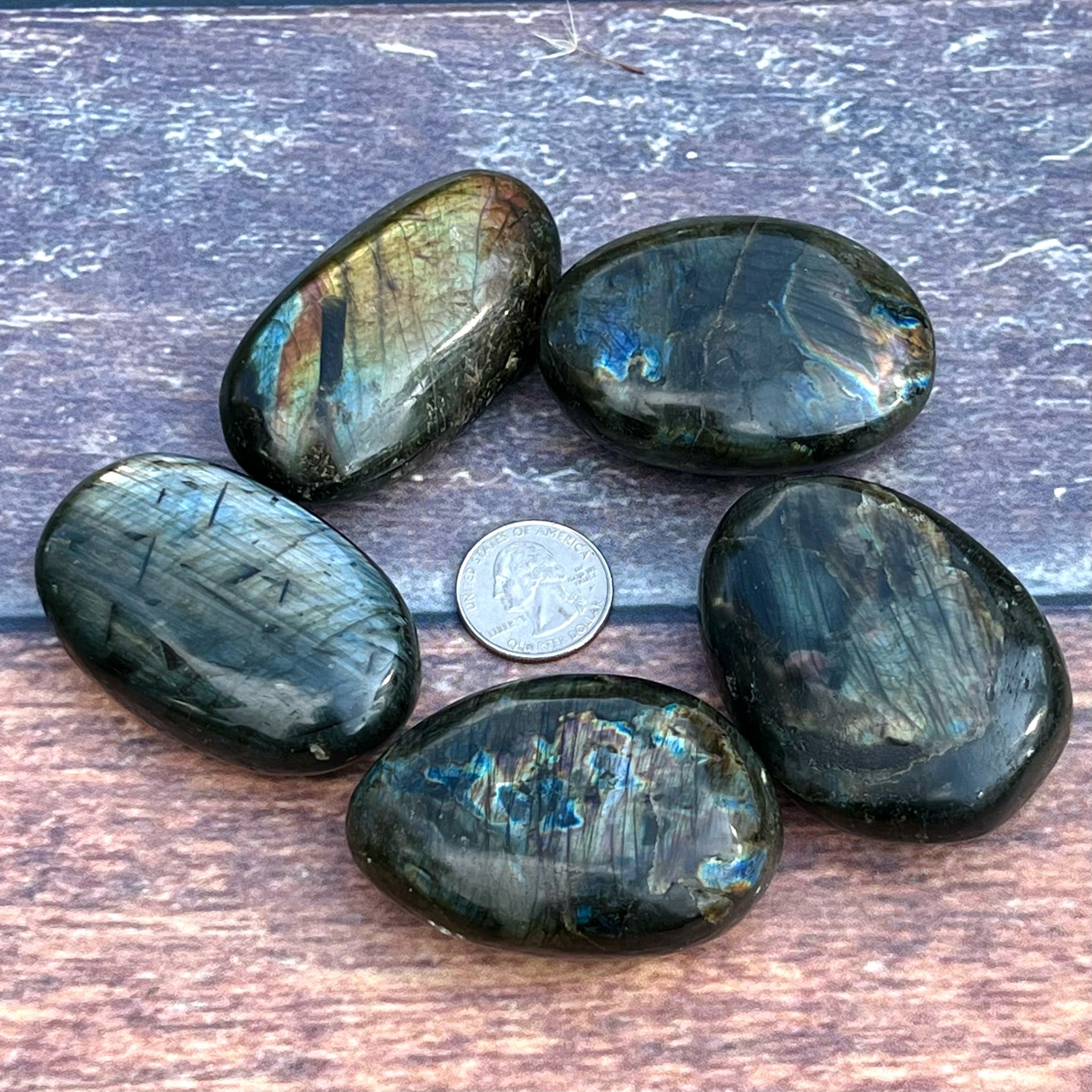 Spectrolite Palm Stone Pair