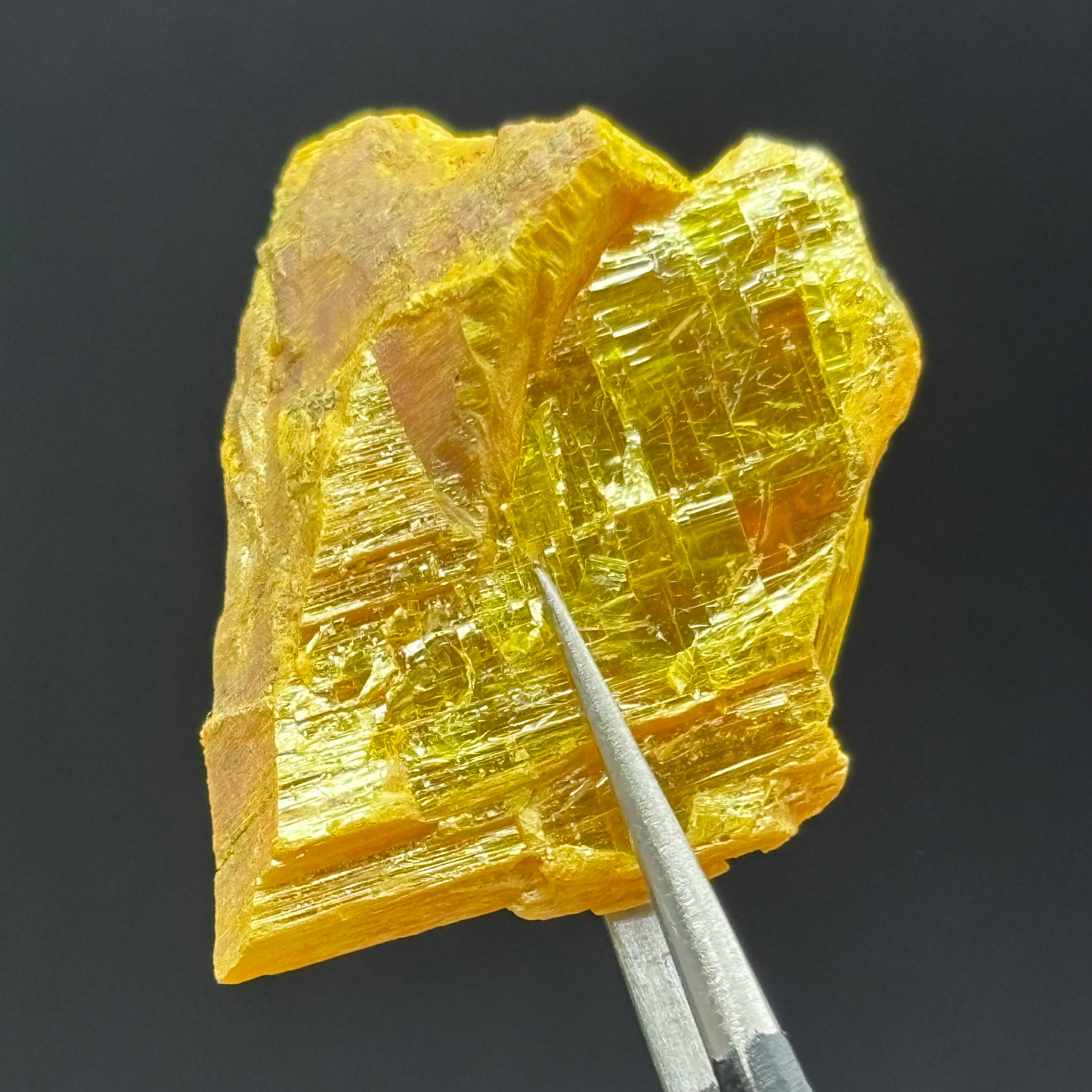Siberian Orpiment - 035