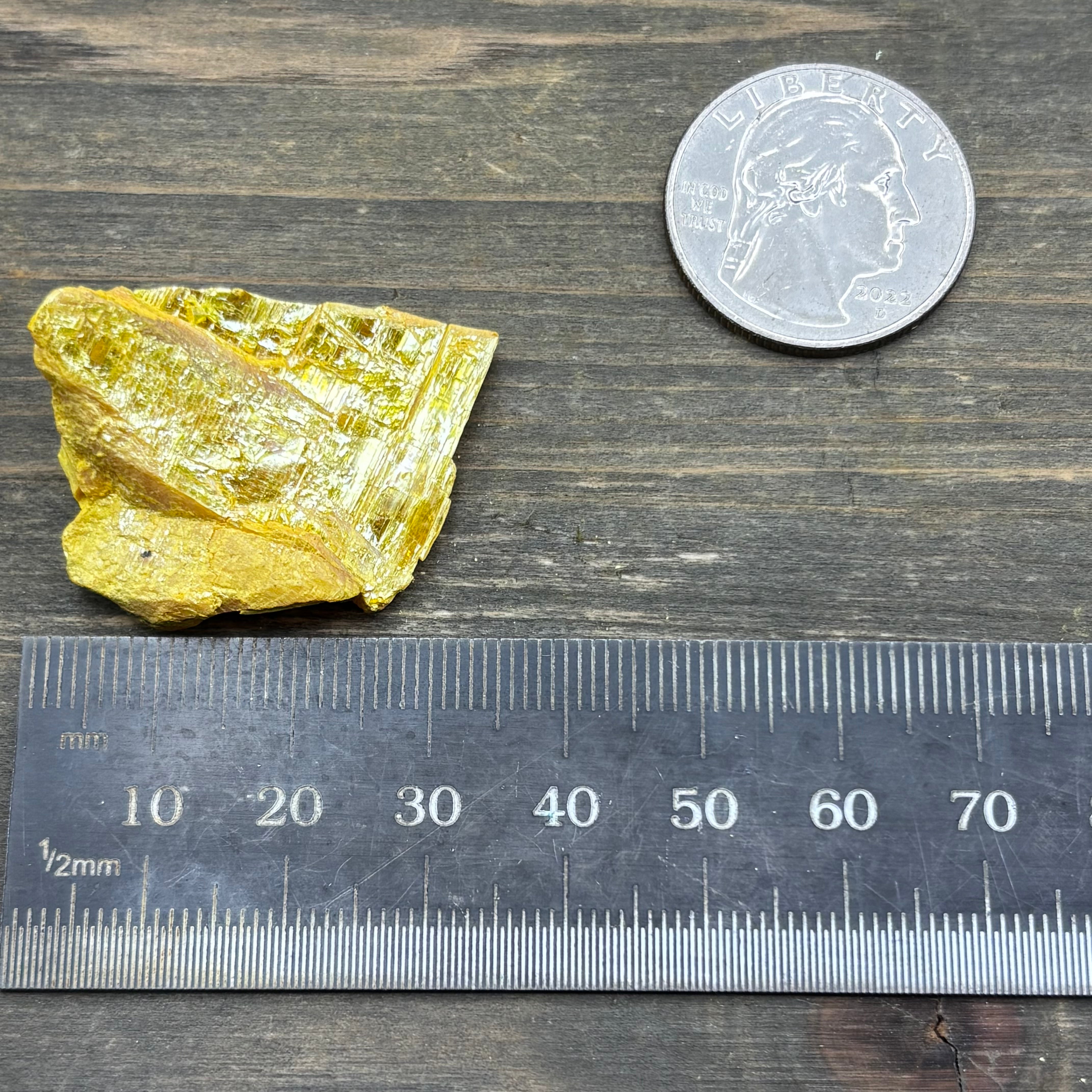 Siberian Orpiment - 035