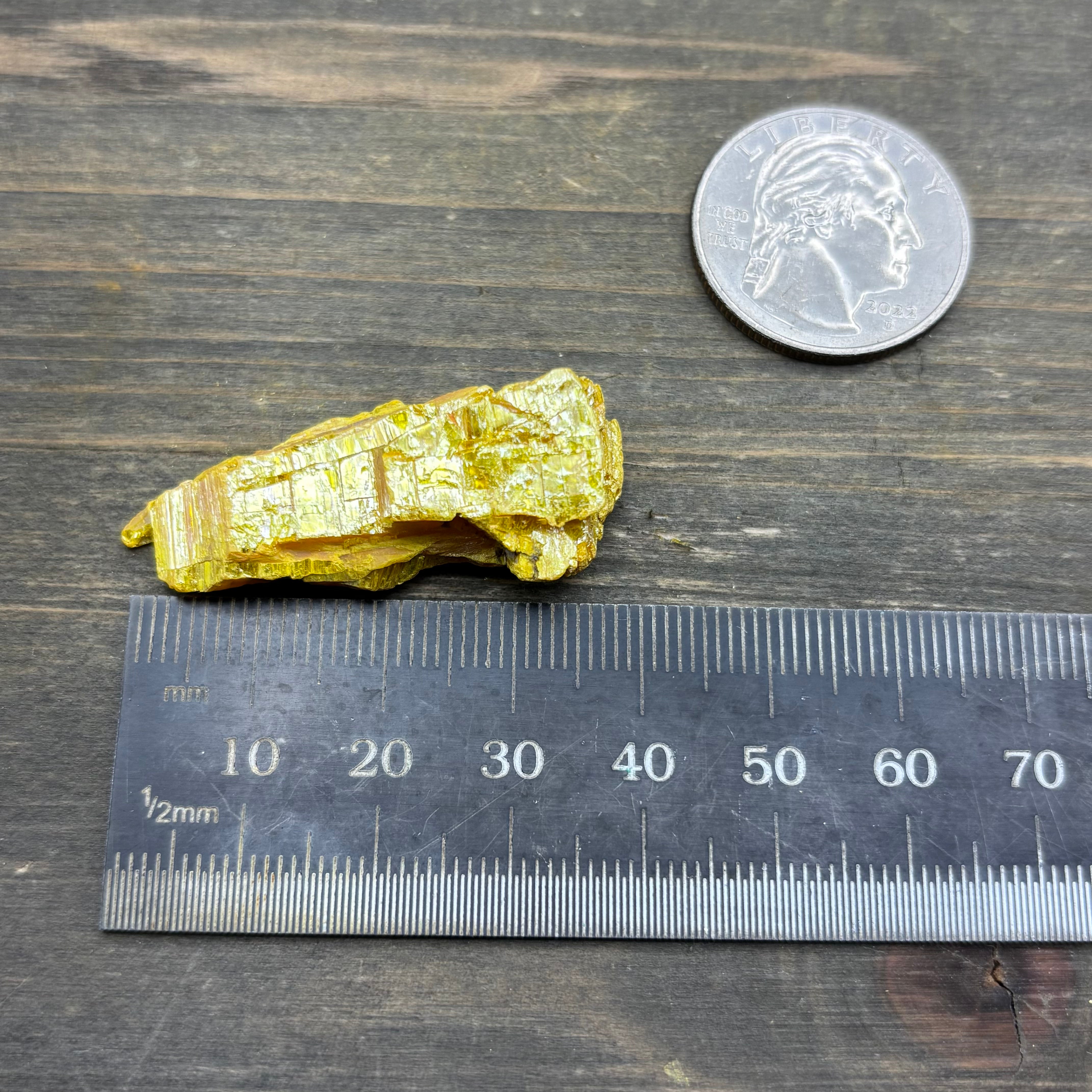 Siberian Orpiment - 041