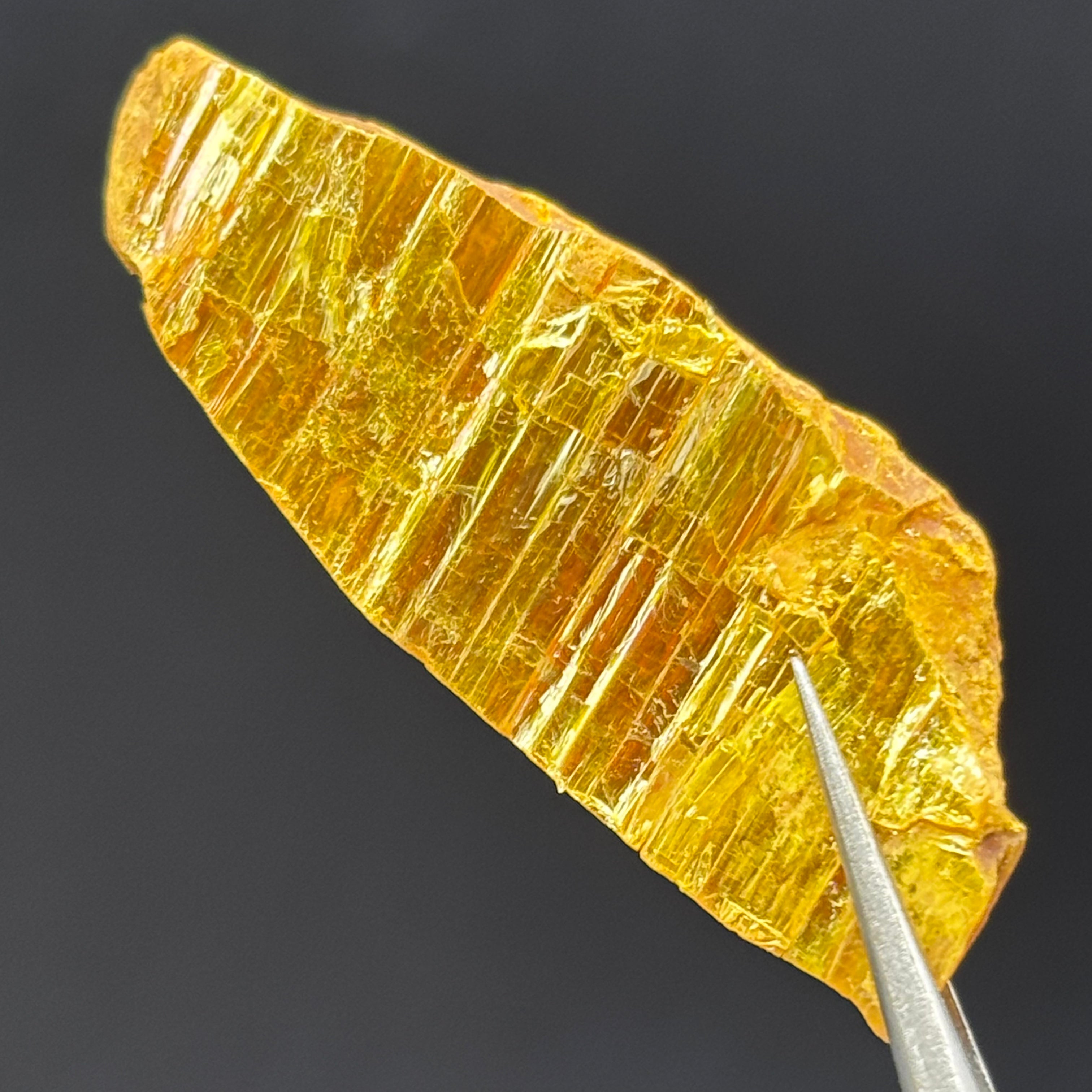 Siberian Orpiment - 046