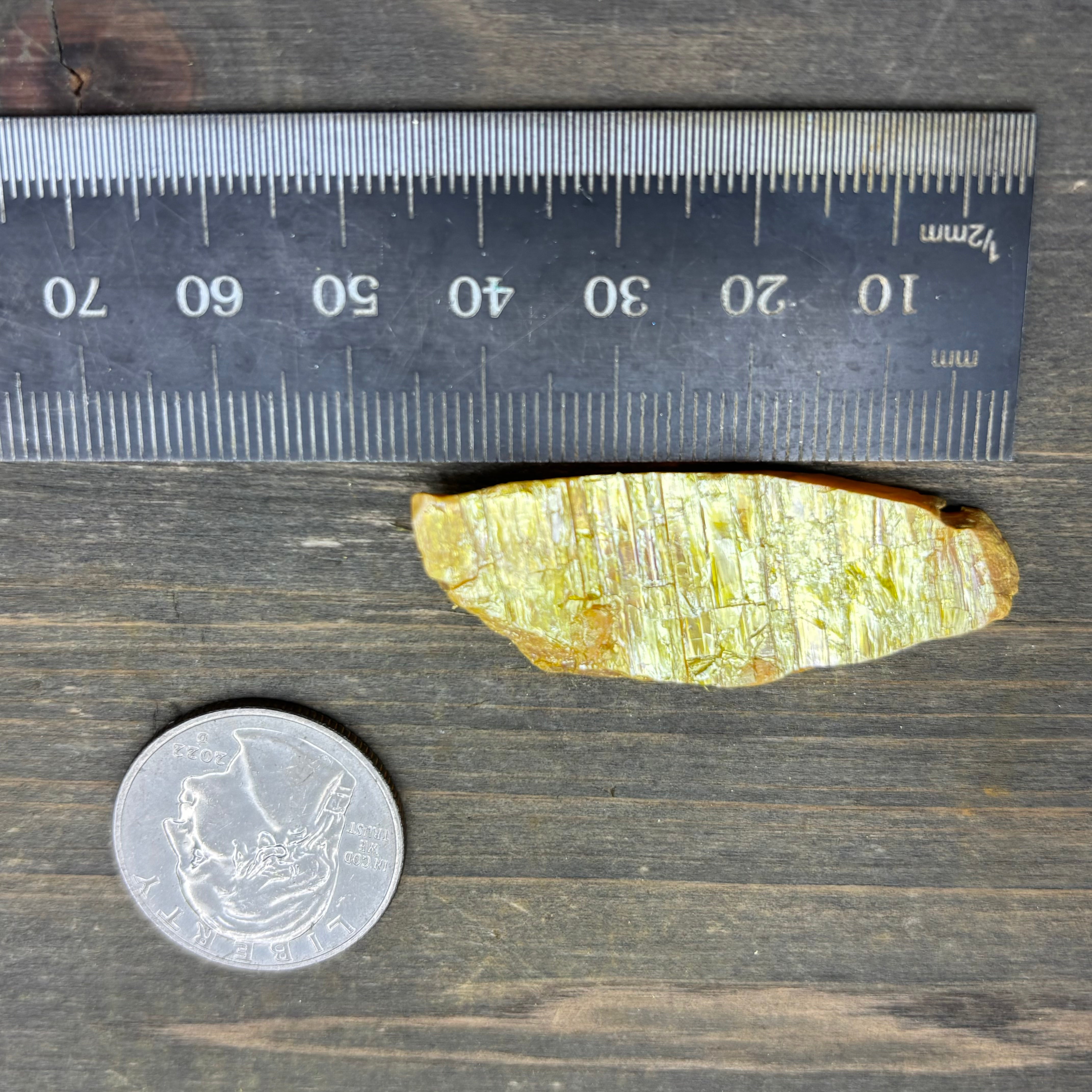 Siberian Orpiment - 046
