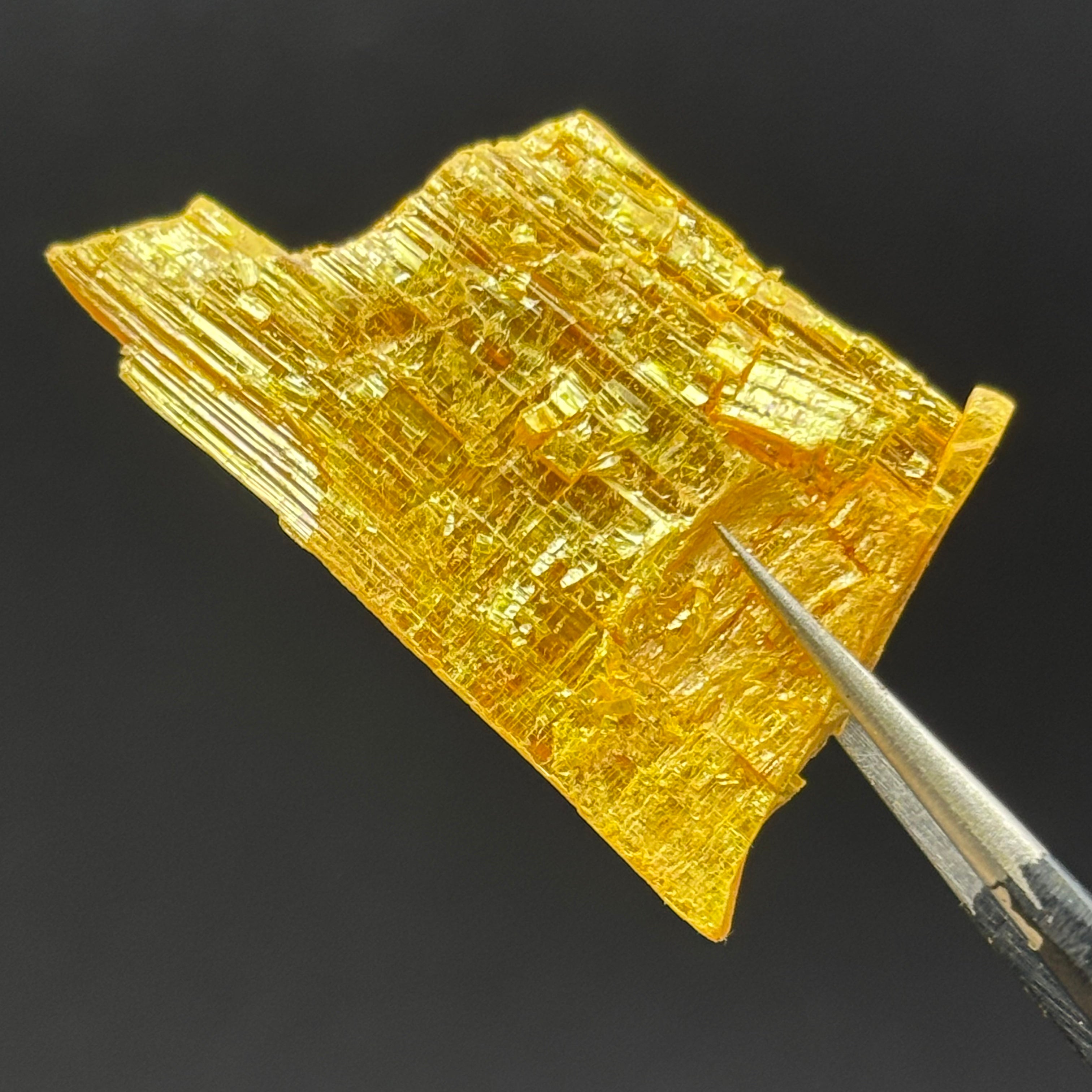 Siberian Orpiment - 047