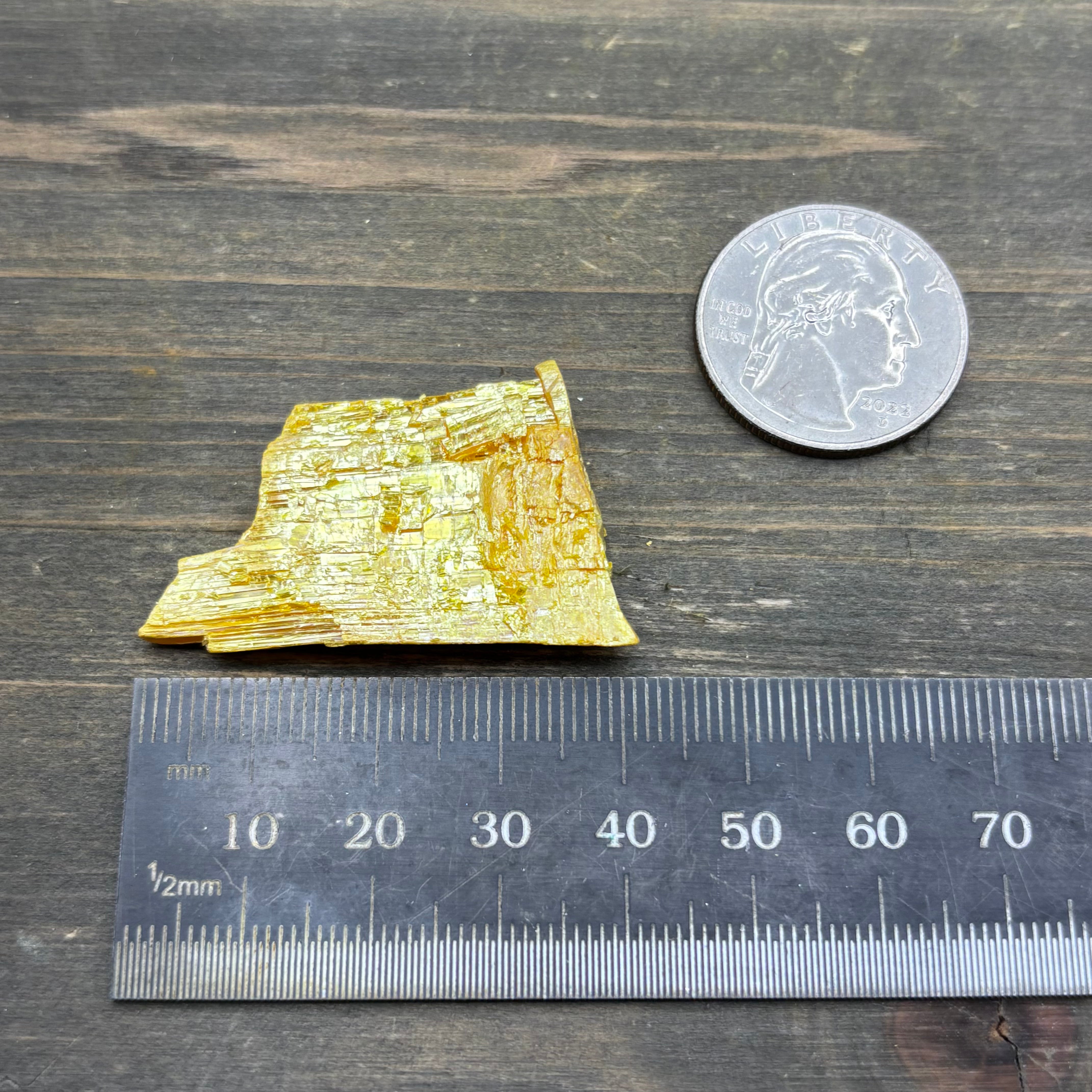 Siberian Orpiment - 047
