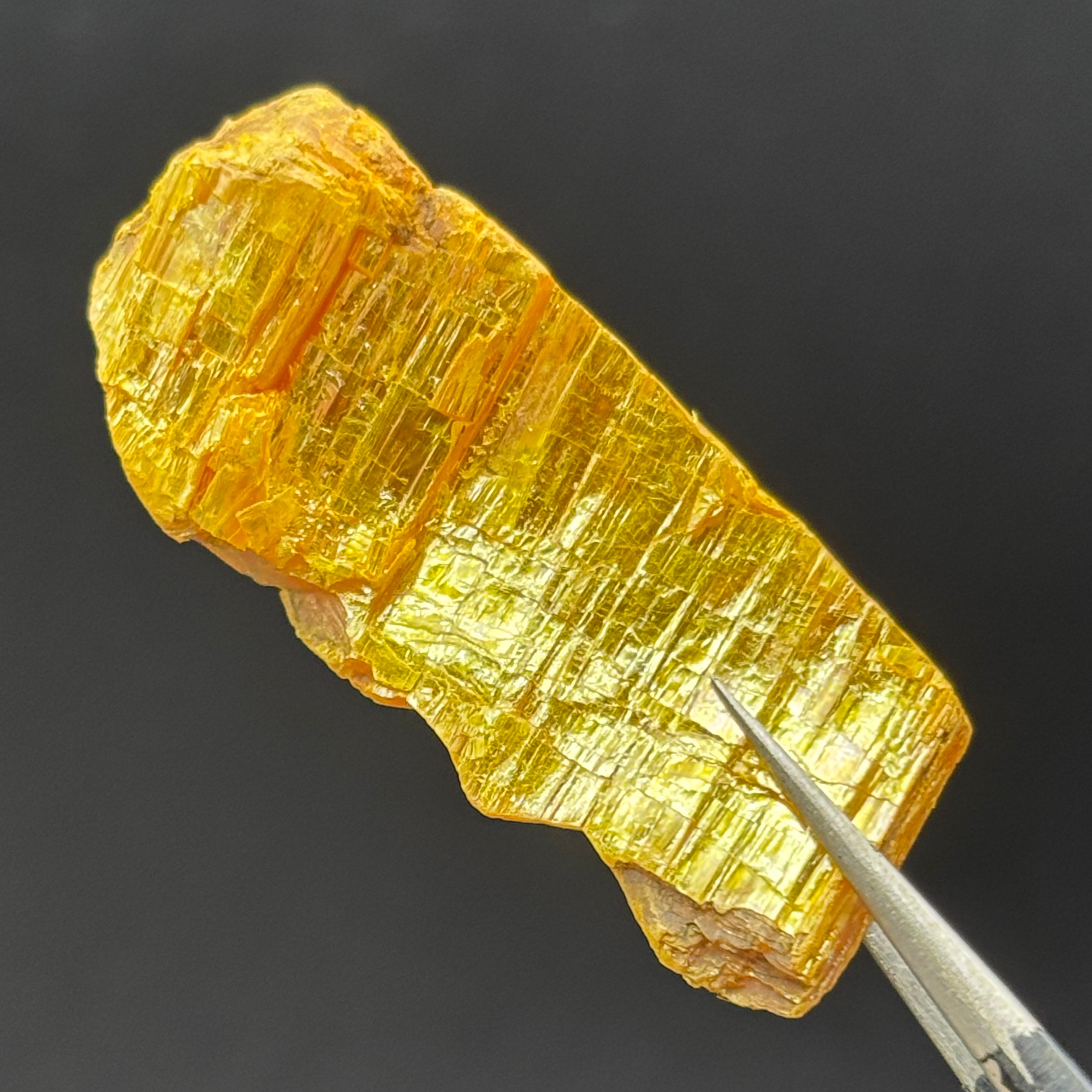 Siberian Orpiment - 050