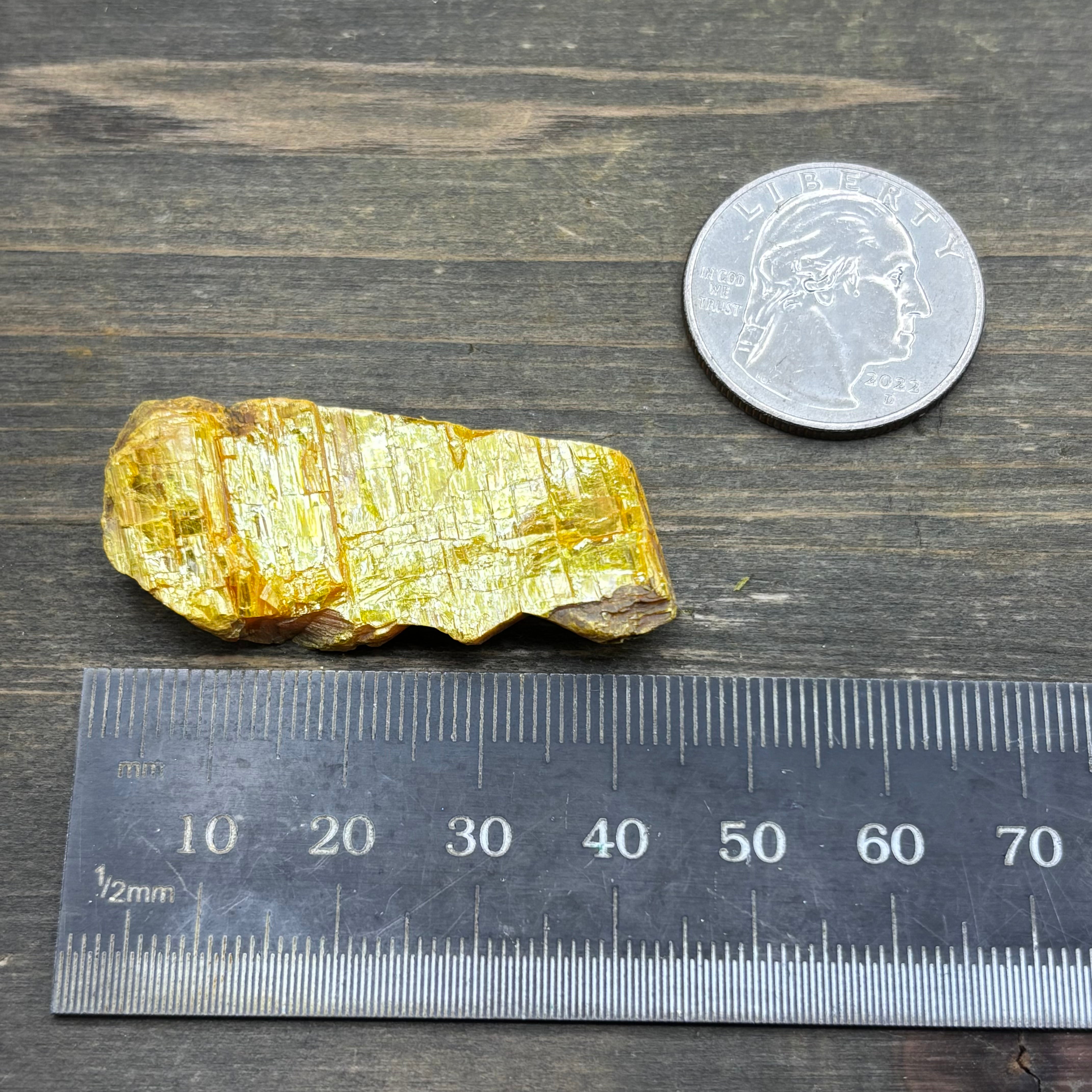 Siberian Orpiment - 050