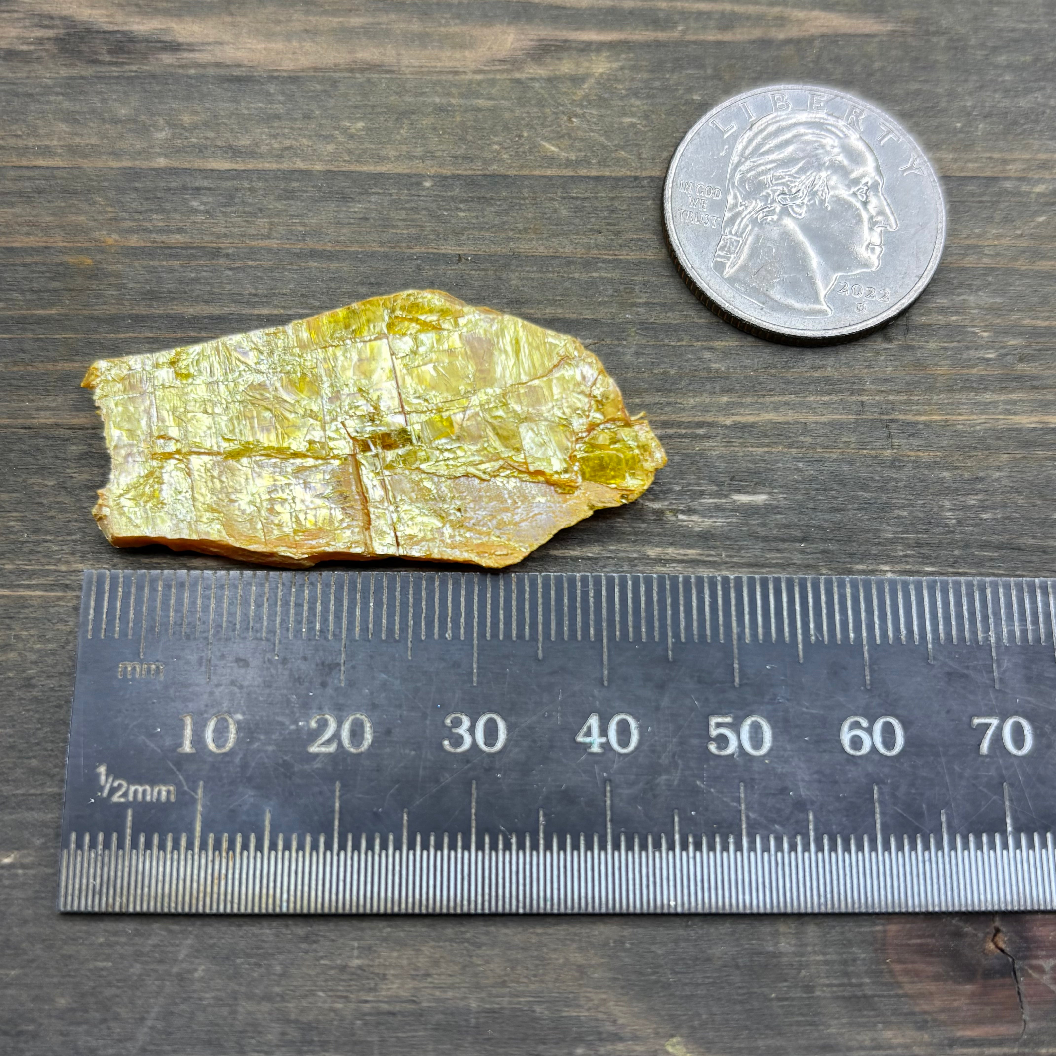 Siberian Orpiment - 052