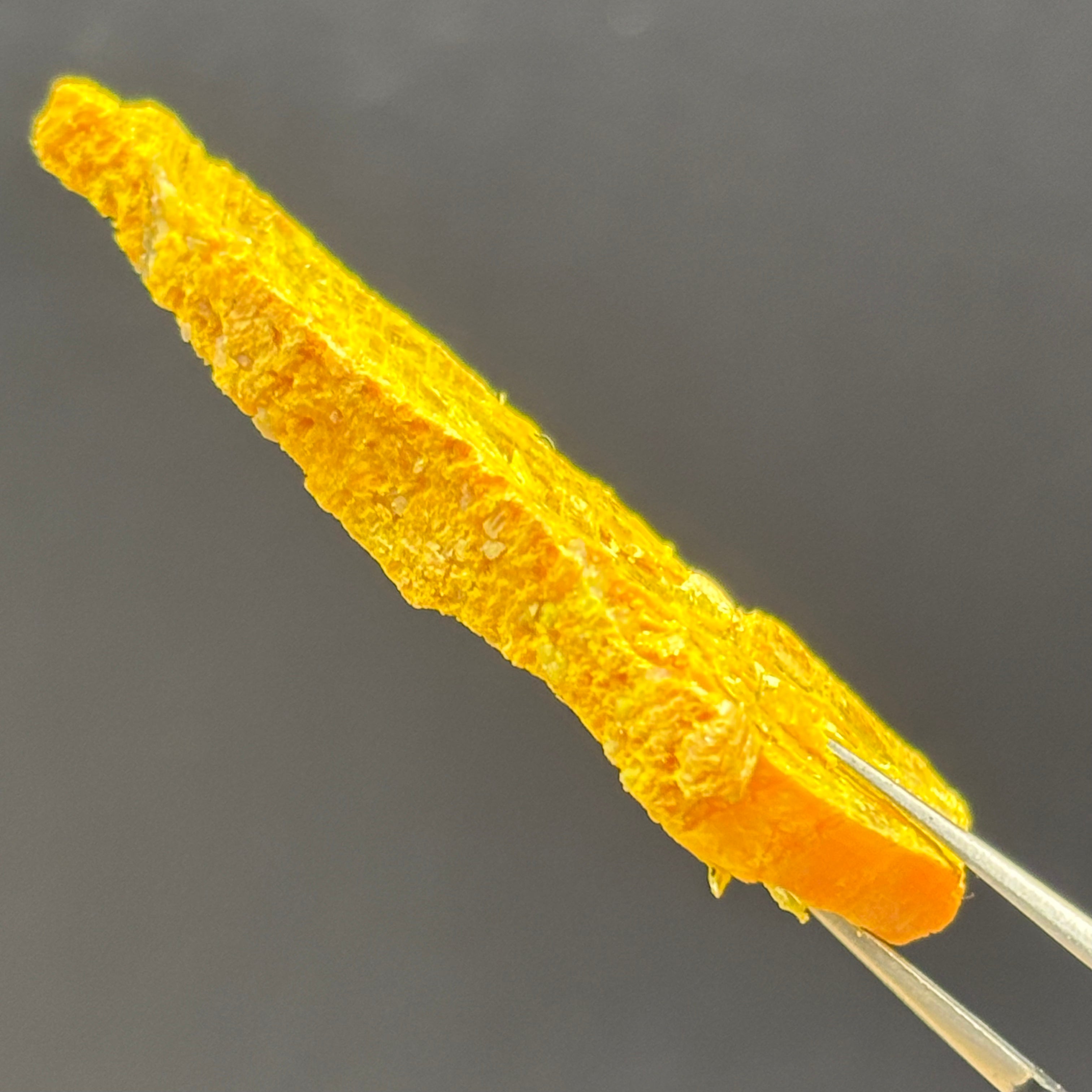 Siberian Orpiment - 055