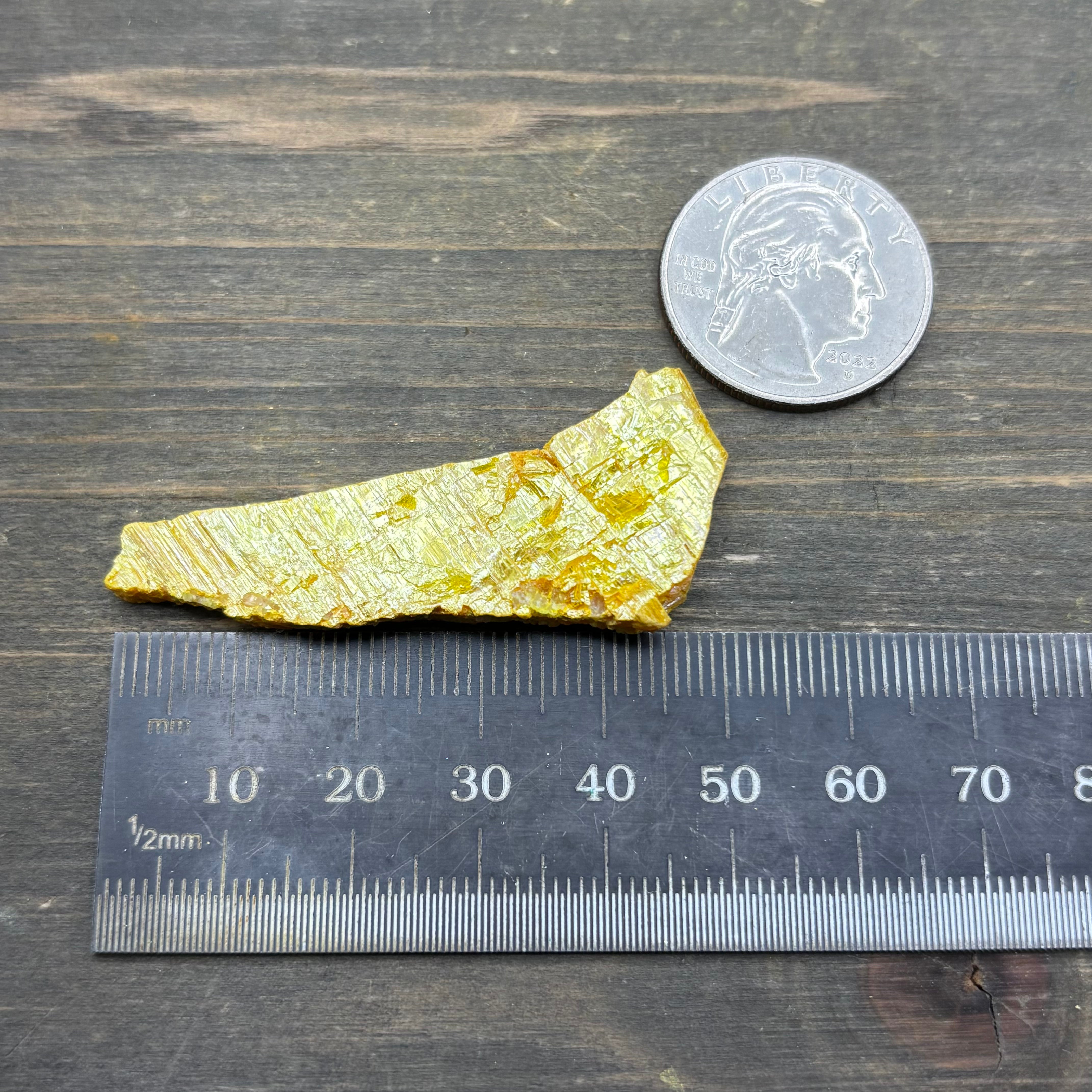 Siberian Orpiment - 055