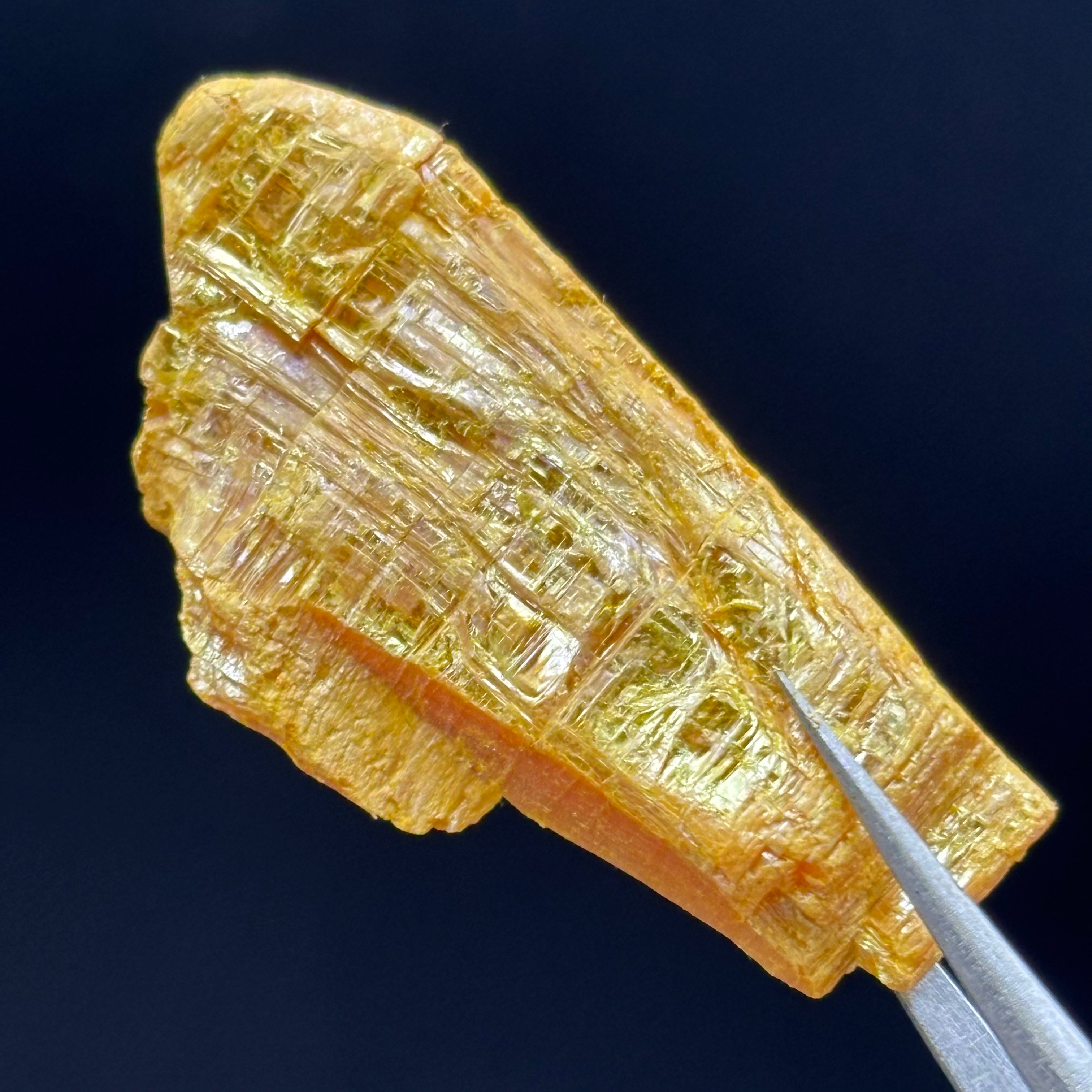 Siberian Orpiment - 057