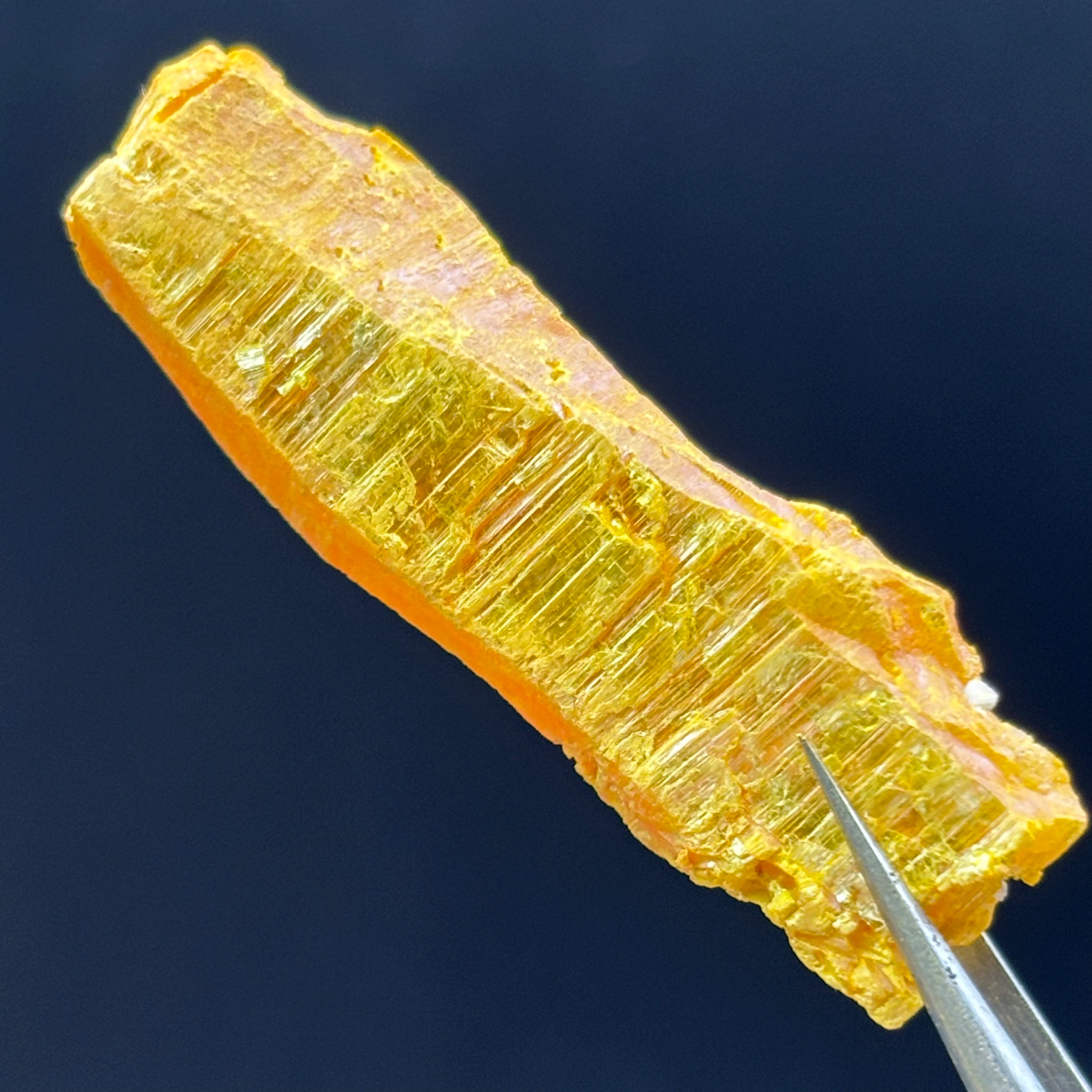 Siberian Orpiment - 070