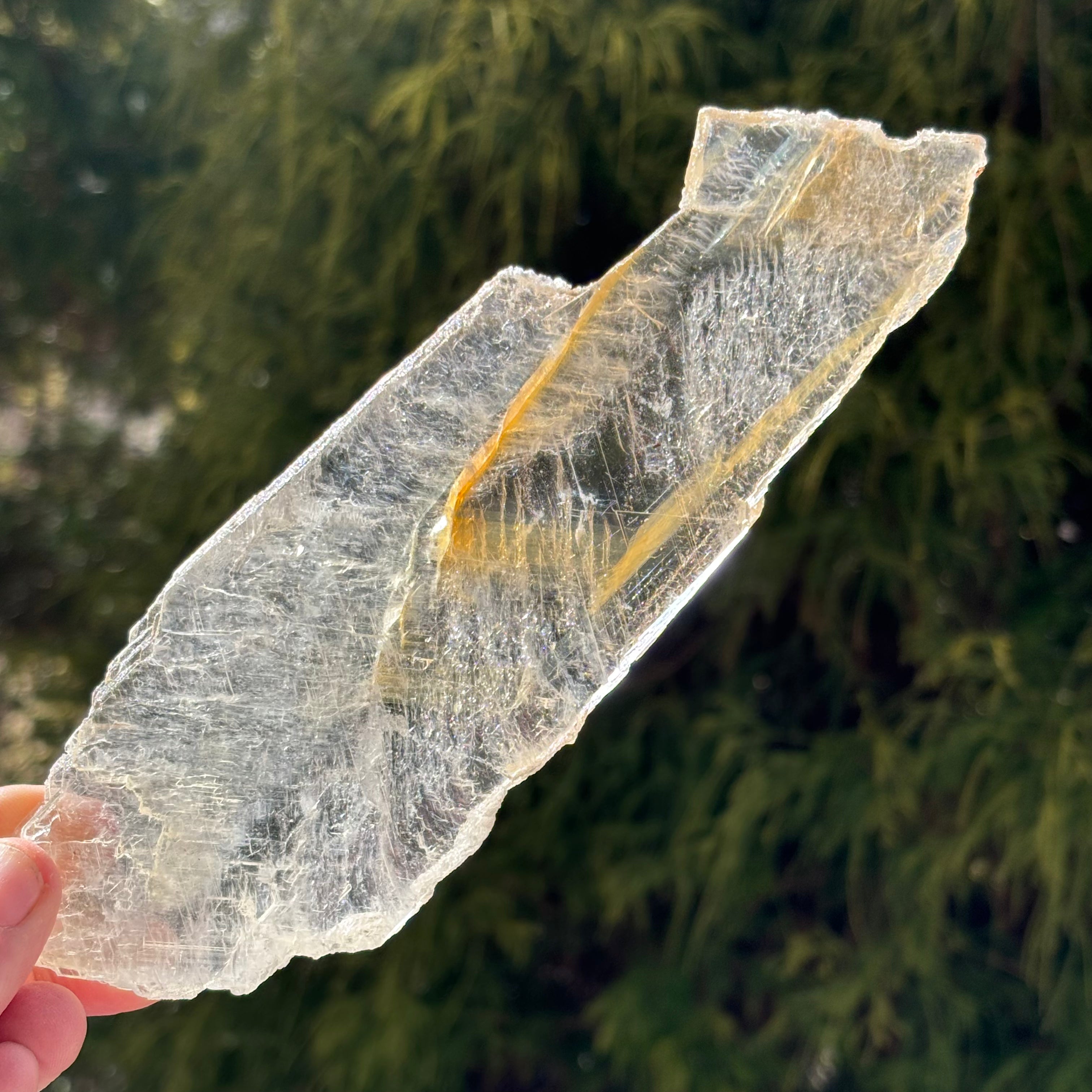 Golden Selenite Window - 530