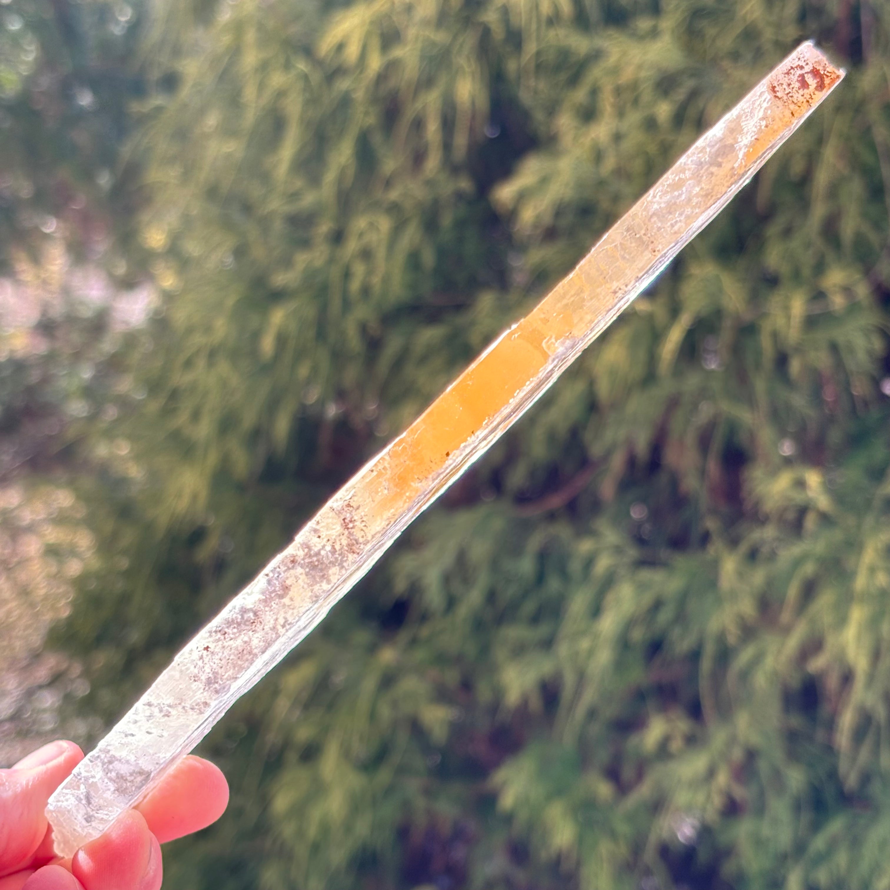 Golden Selenite Window - 530