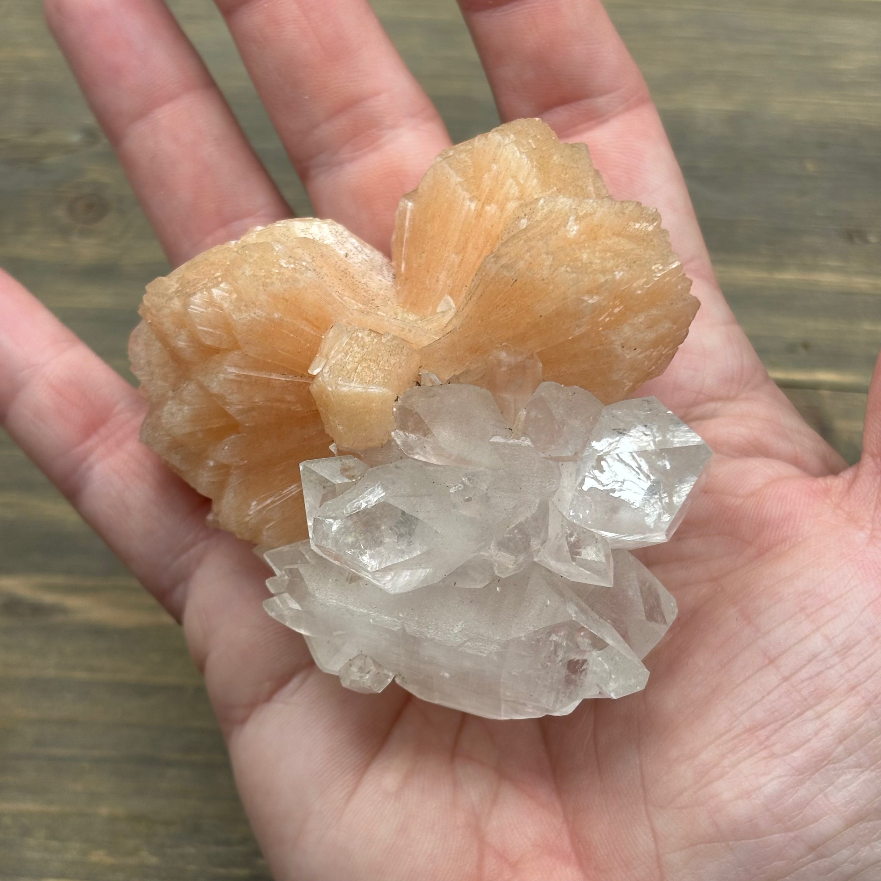 Apophyllite Crystal - 726