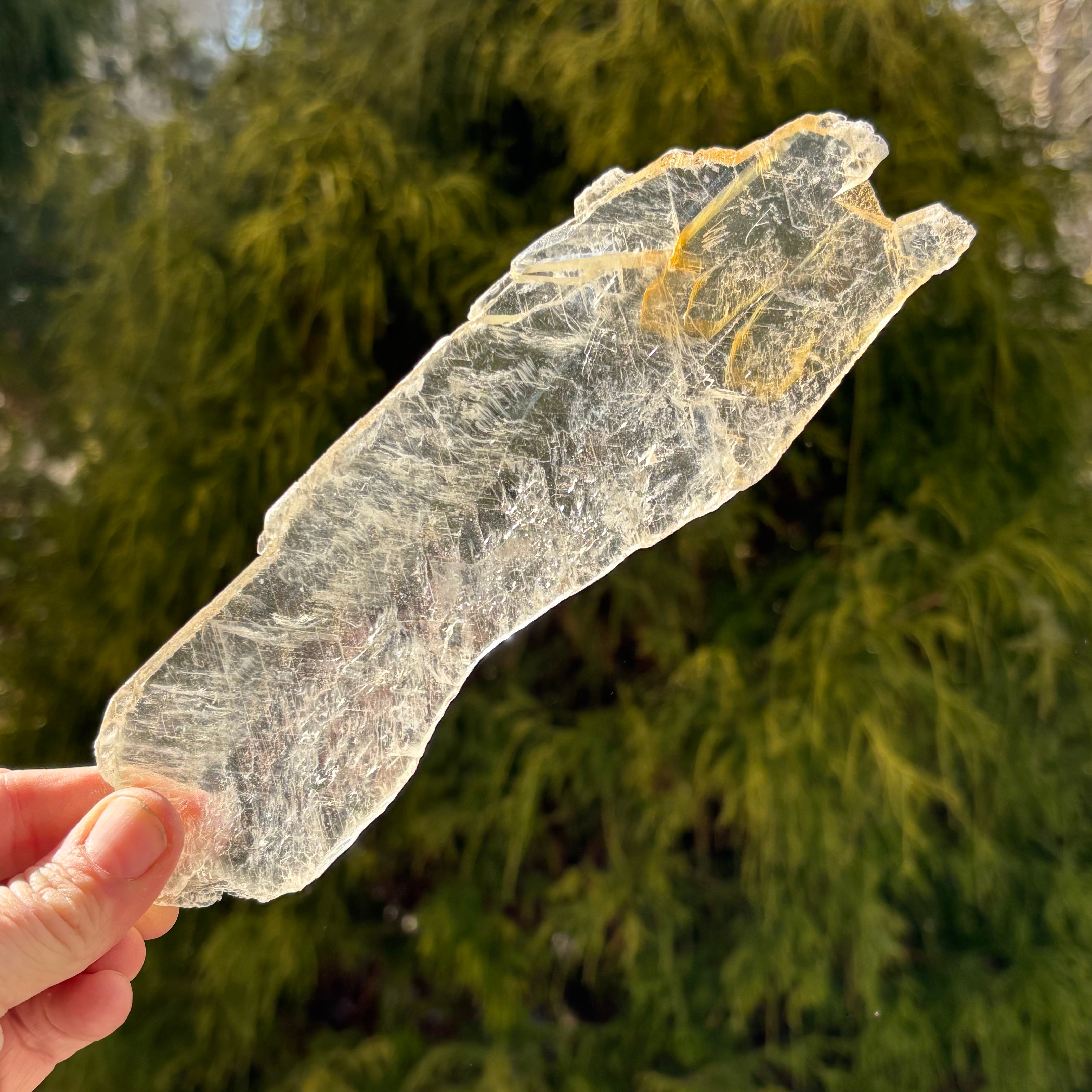 Golden Selenite Window - 531