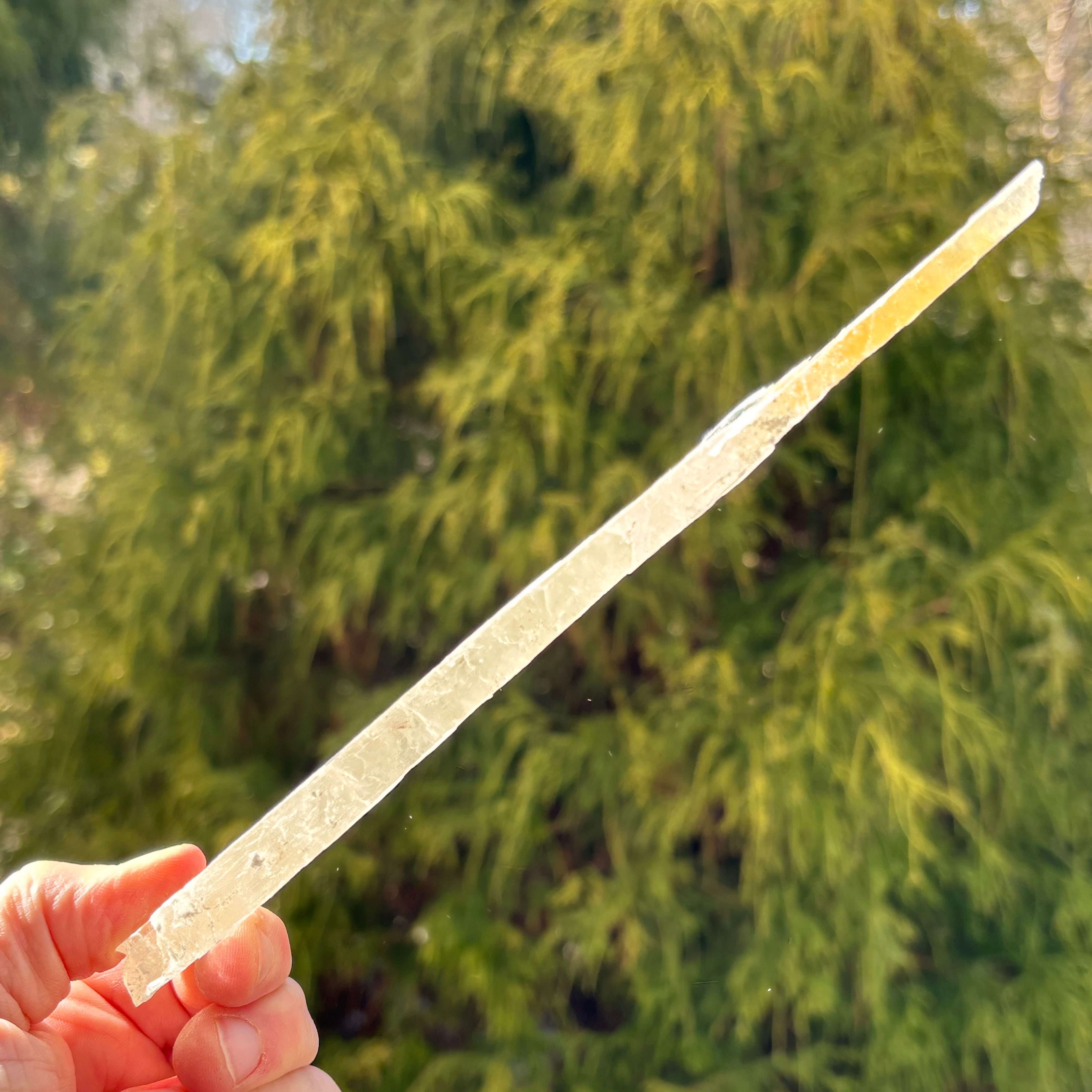 Golden Selenite Window - 531