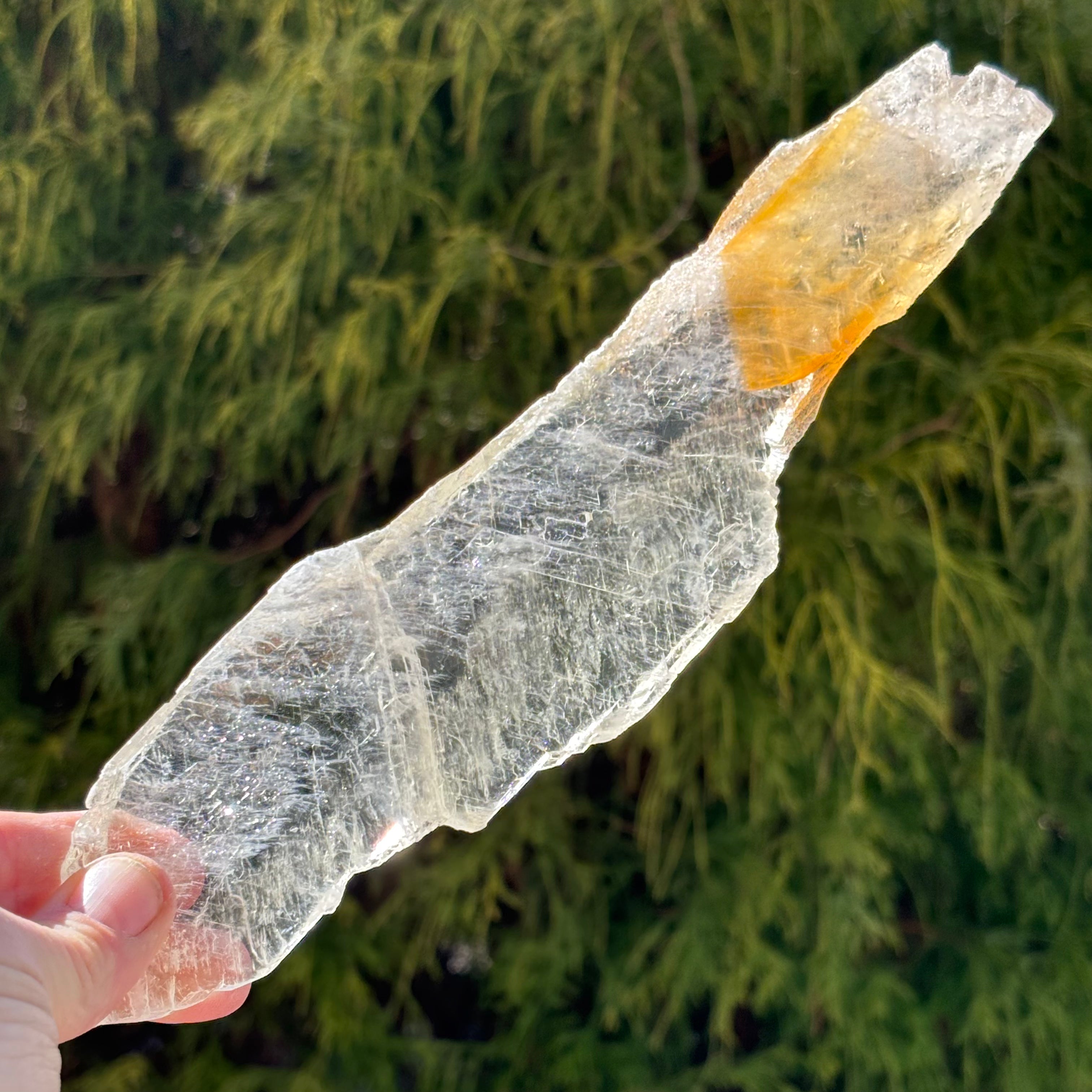 Golden Selenite Window - 546