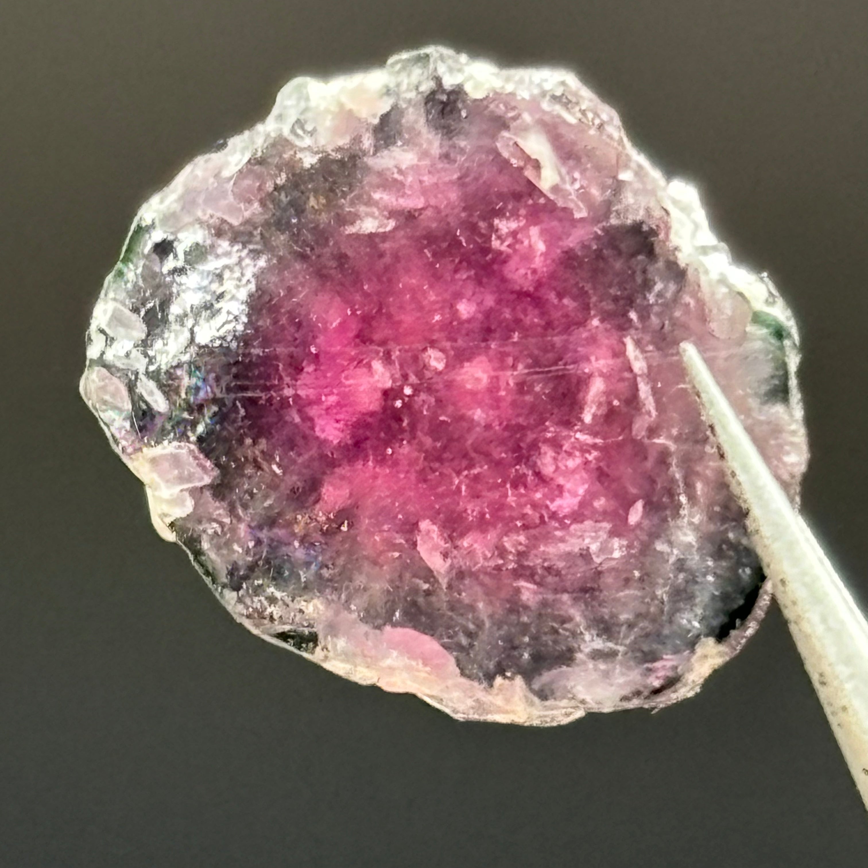 Watermelon Tourmaline Crystal Slice - 004