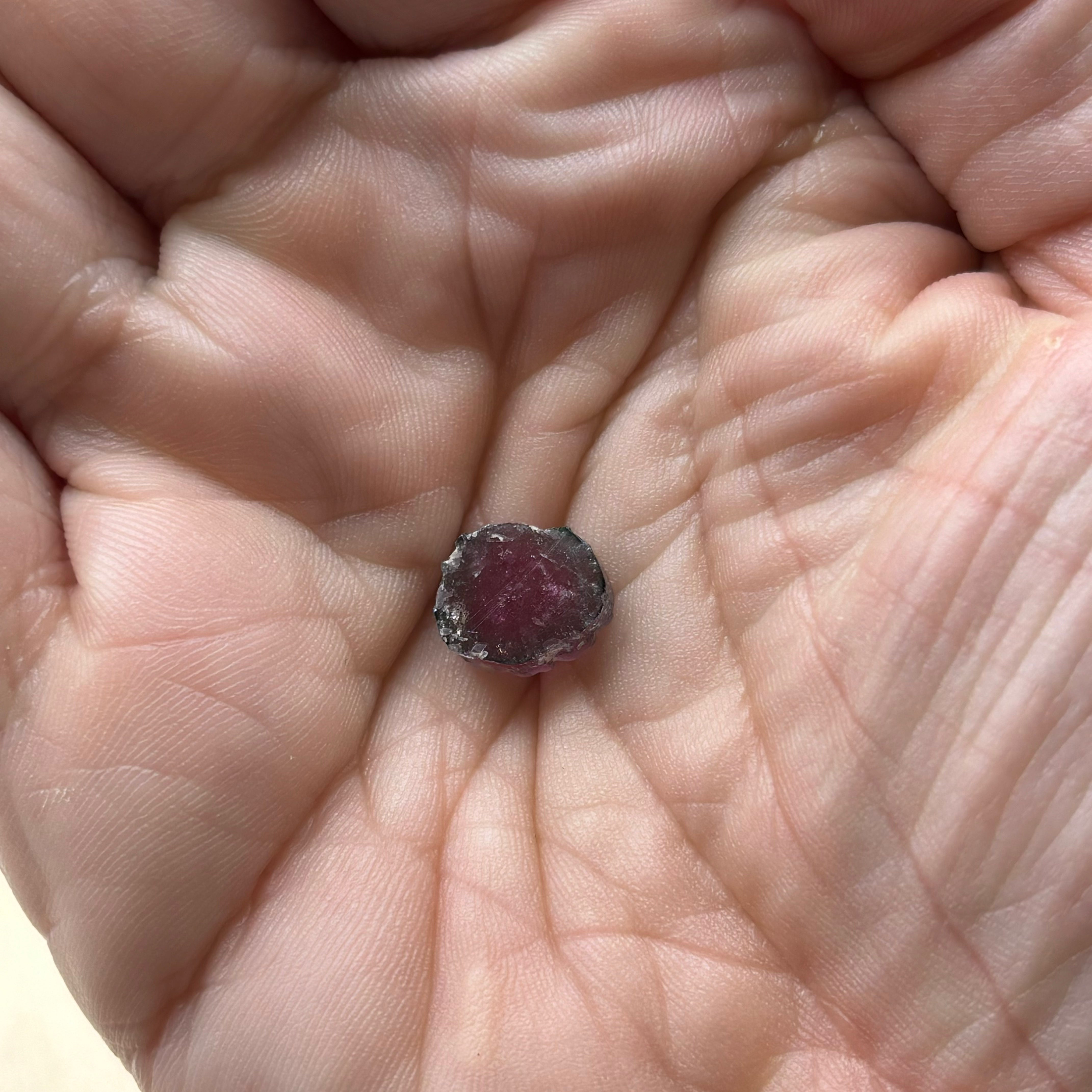 Watermelon Tourmaline Crystal Slice - 004