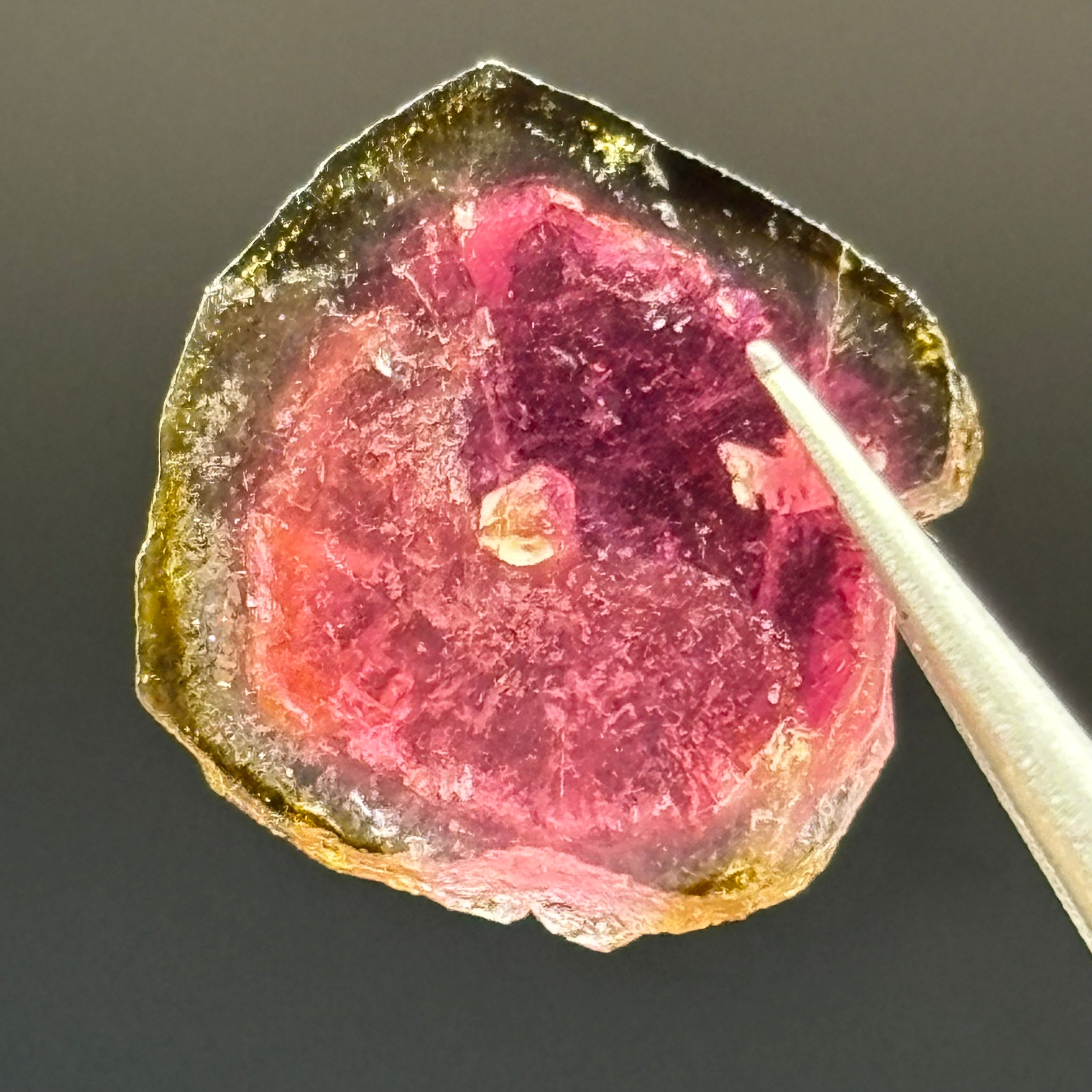 Watermelon Tourmaline Crystal Slice - 014