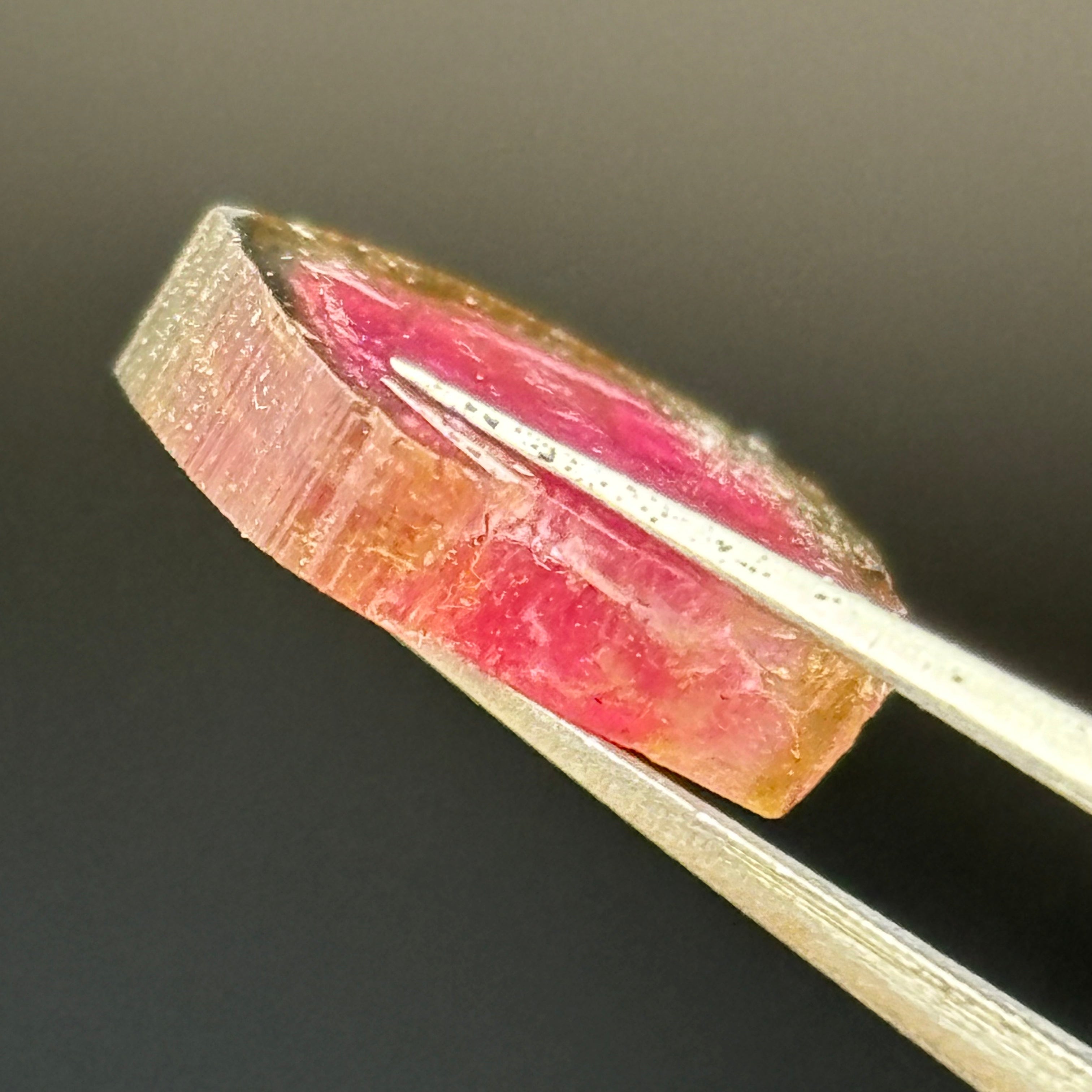 Watermelon Tourmaline Crystal Slice - 014