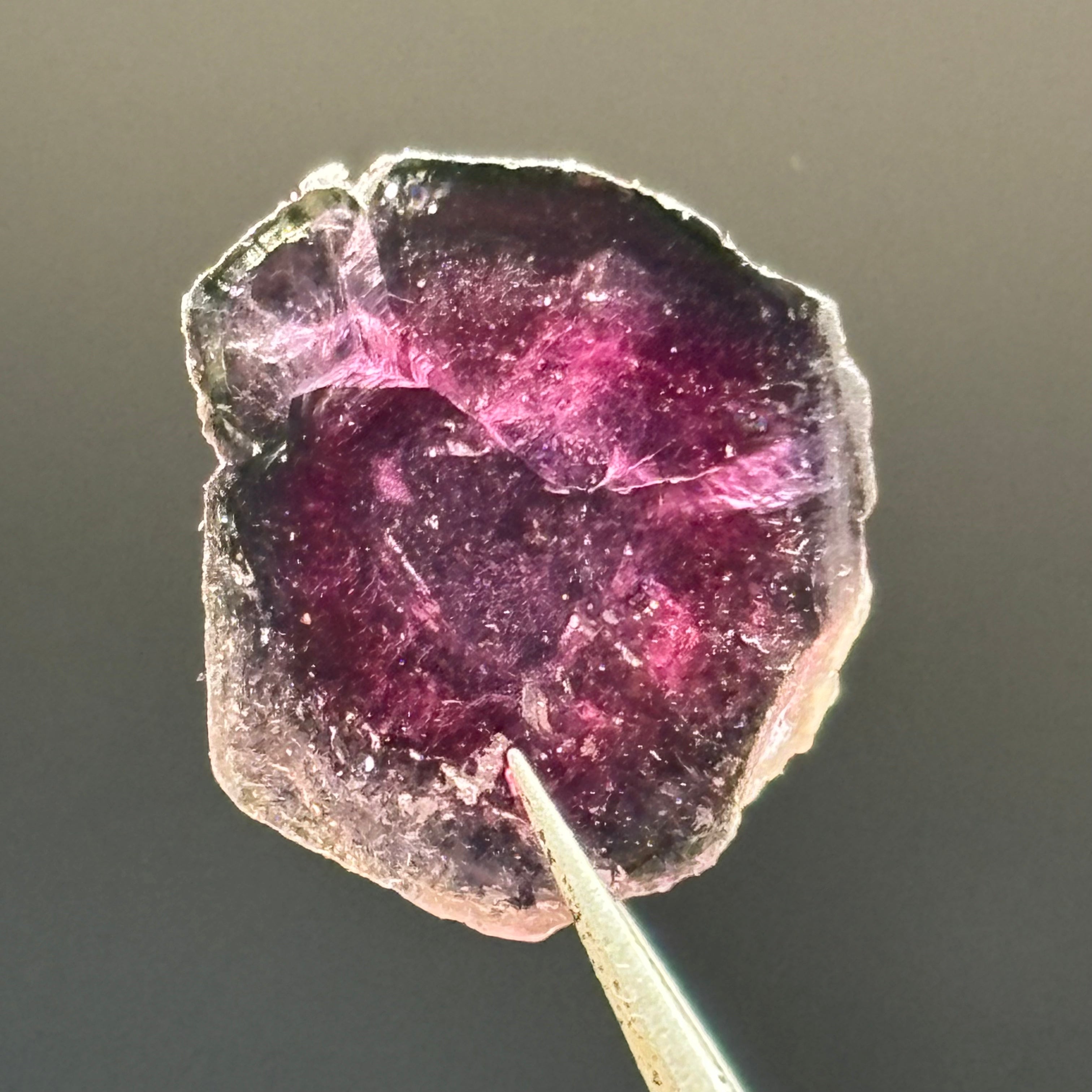Watermelon Tourmaline Crystal Slice - 015
