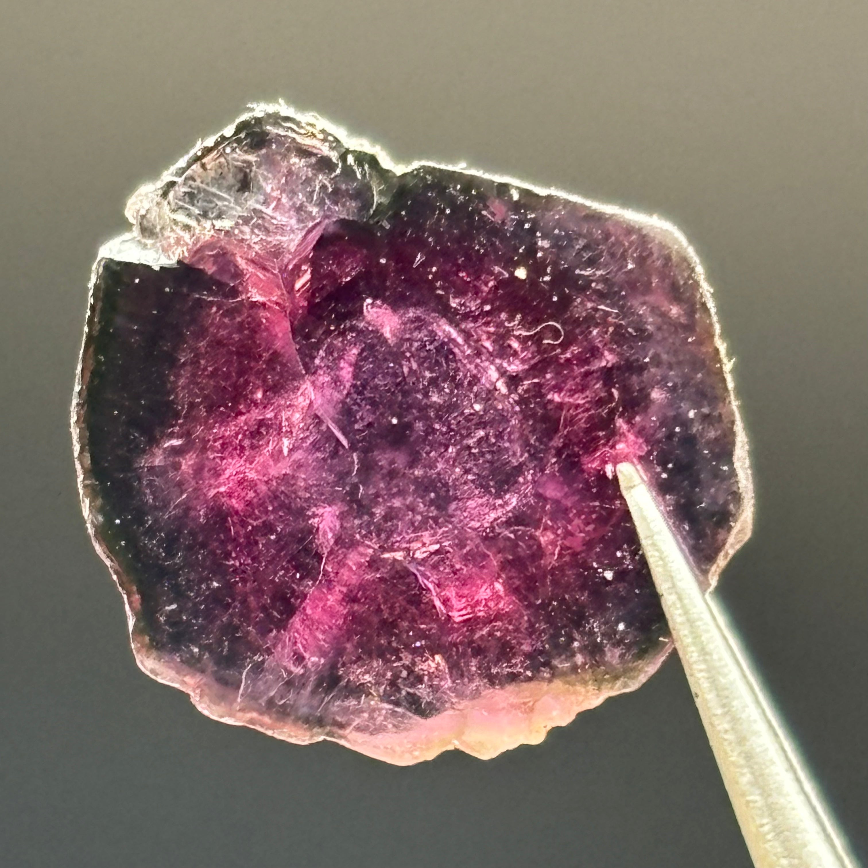 Watermelon Tourmaline Crystal Slice - 015